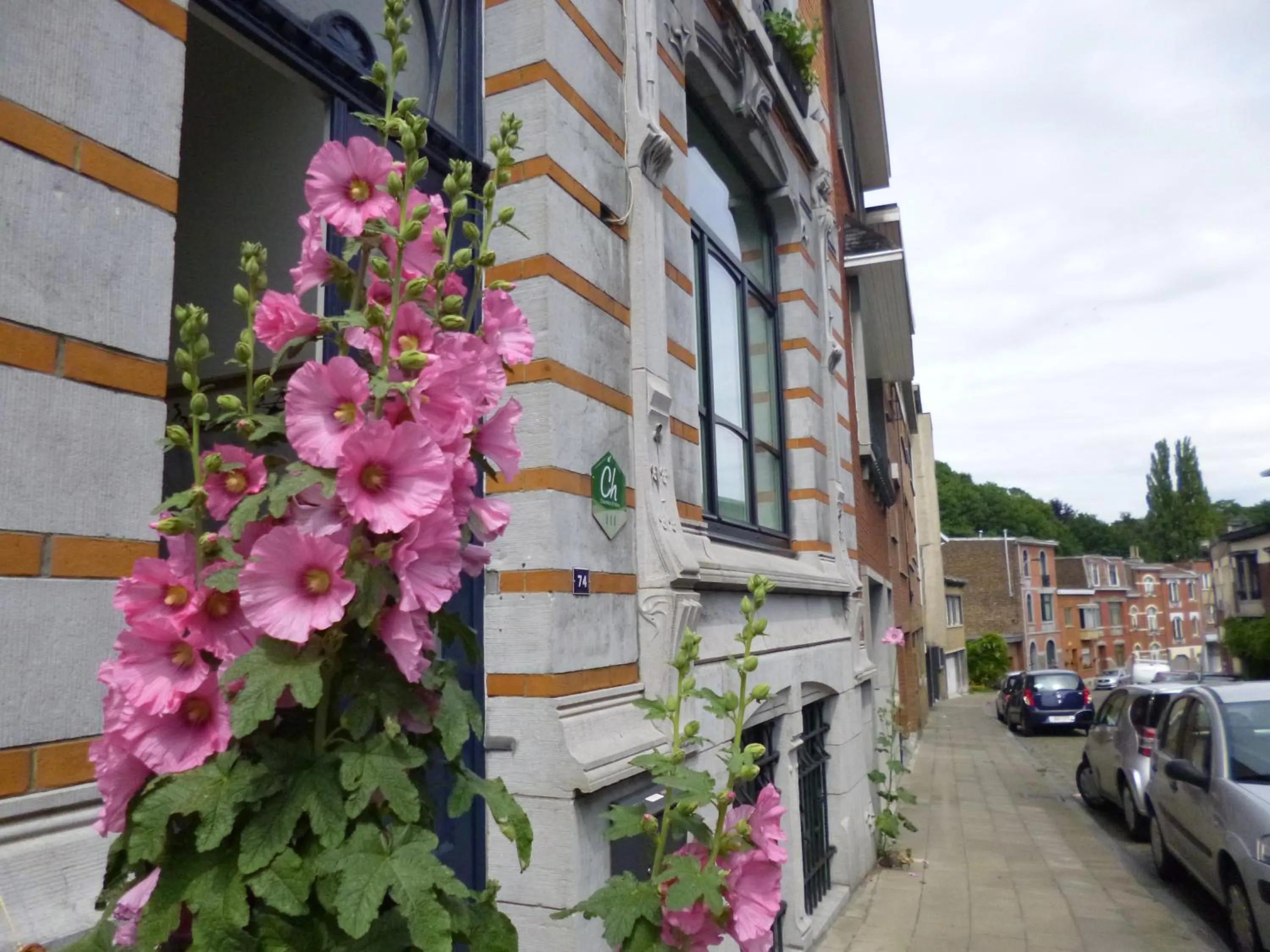 Neighbourhood in B&B Matin Tranquille