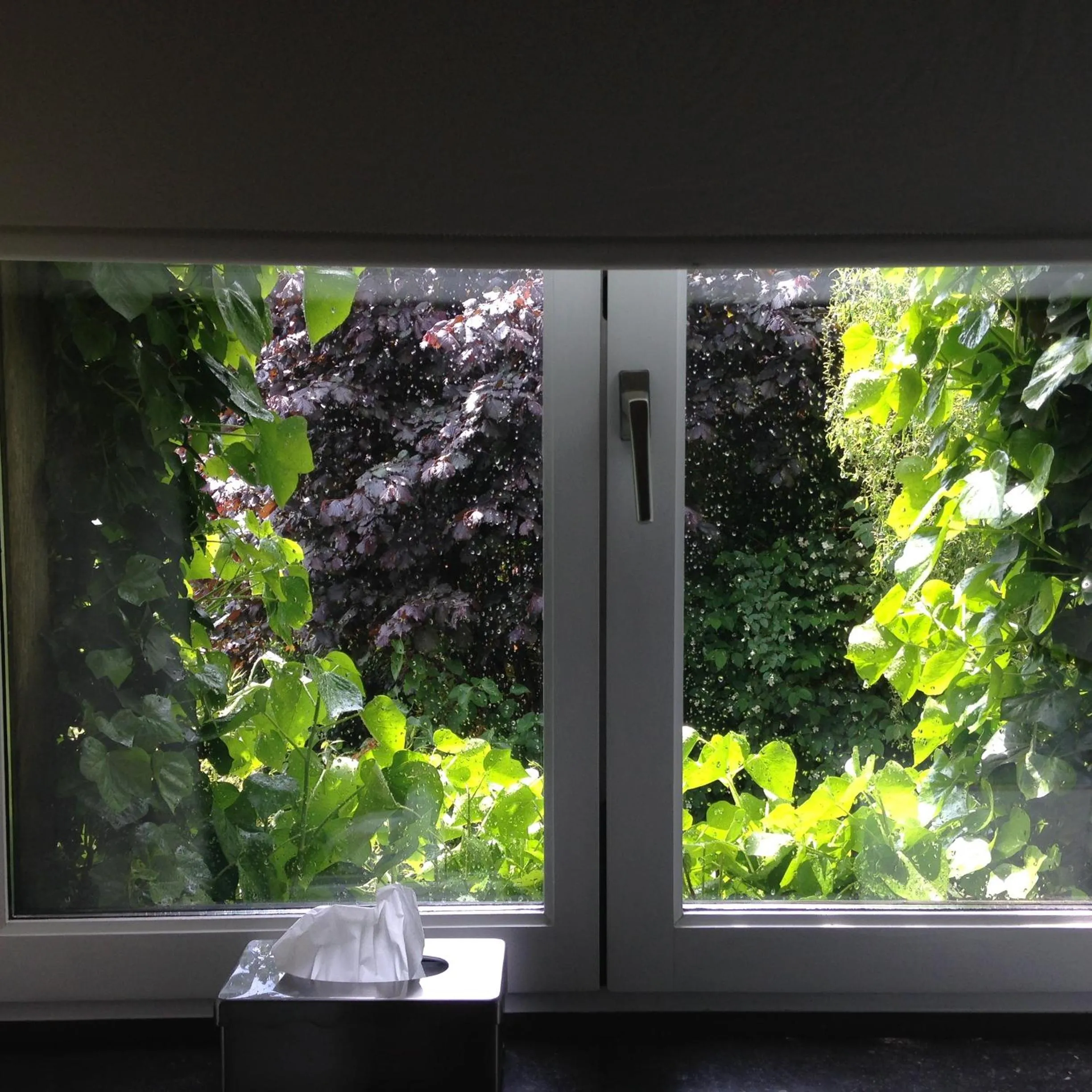 Inner courtyard view in B&B Matin Tranquille