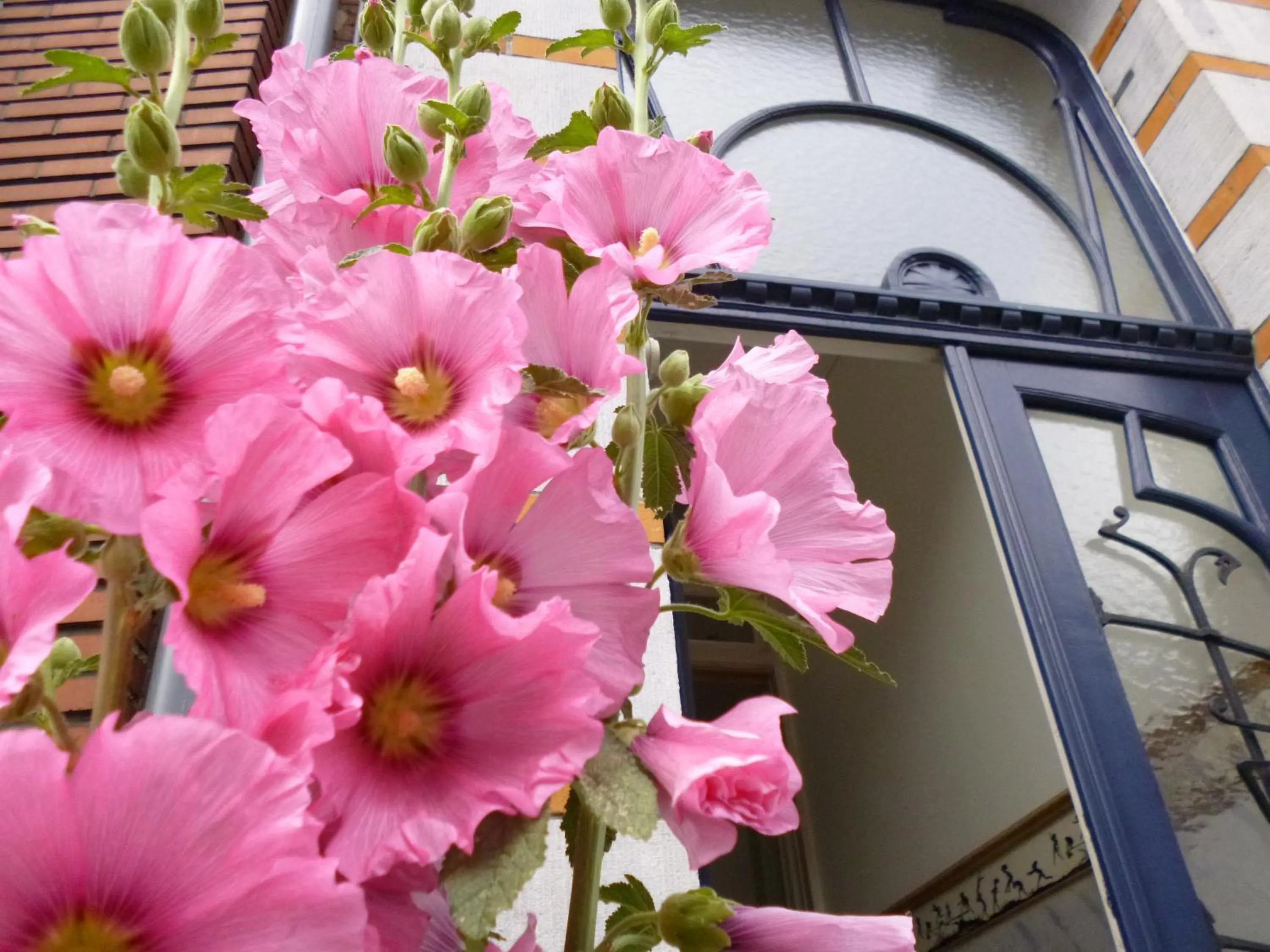Facade/entrance in B&B Matin Tranquille
