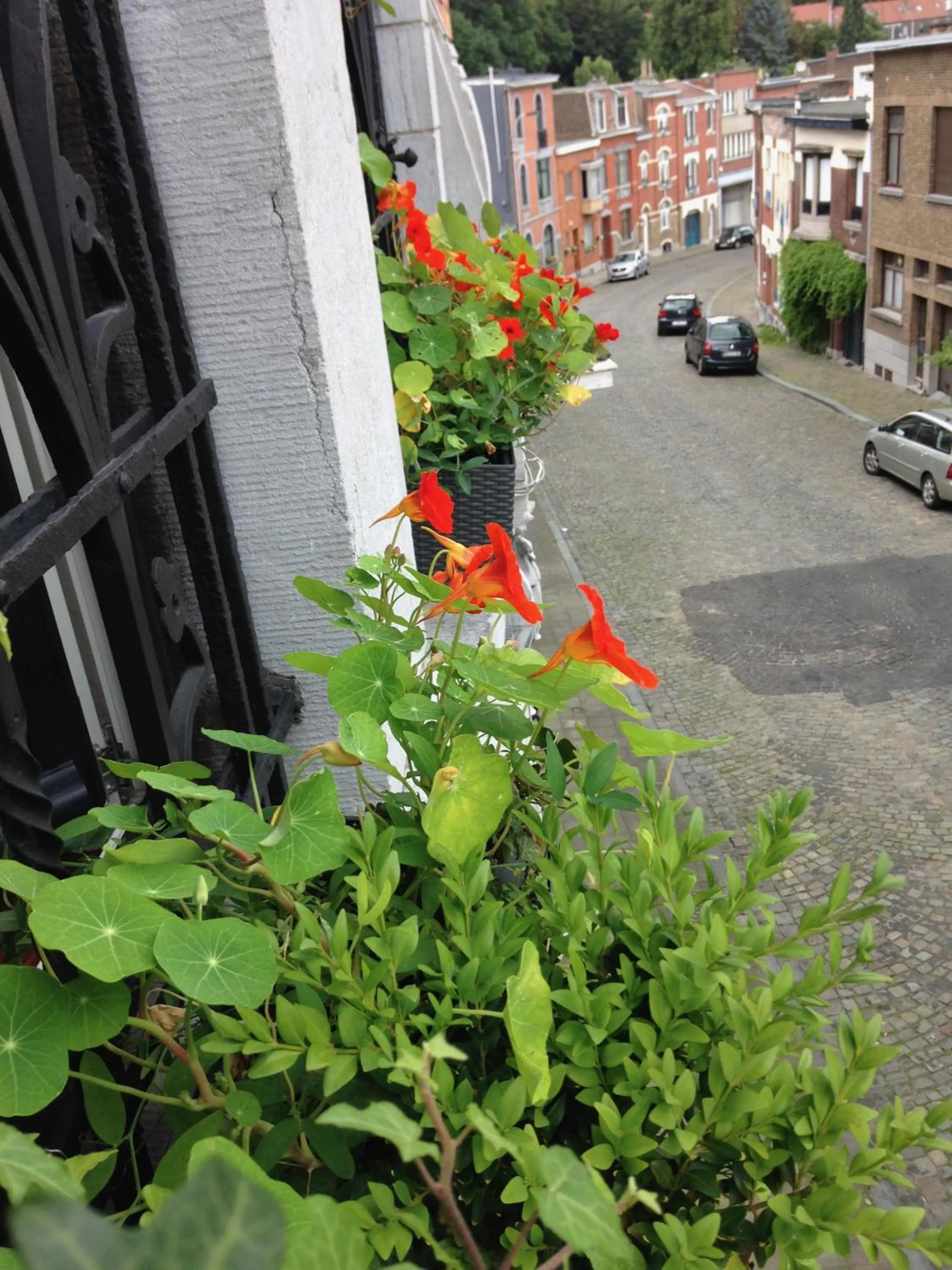 Quiet street view in B&B Matin Tranquille