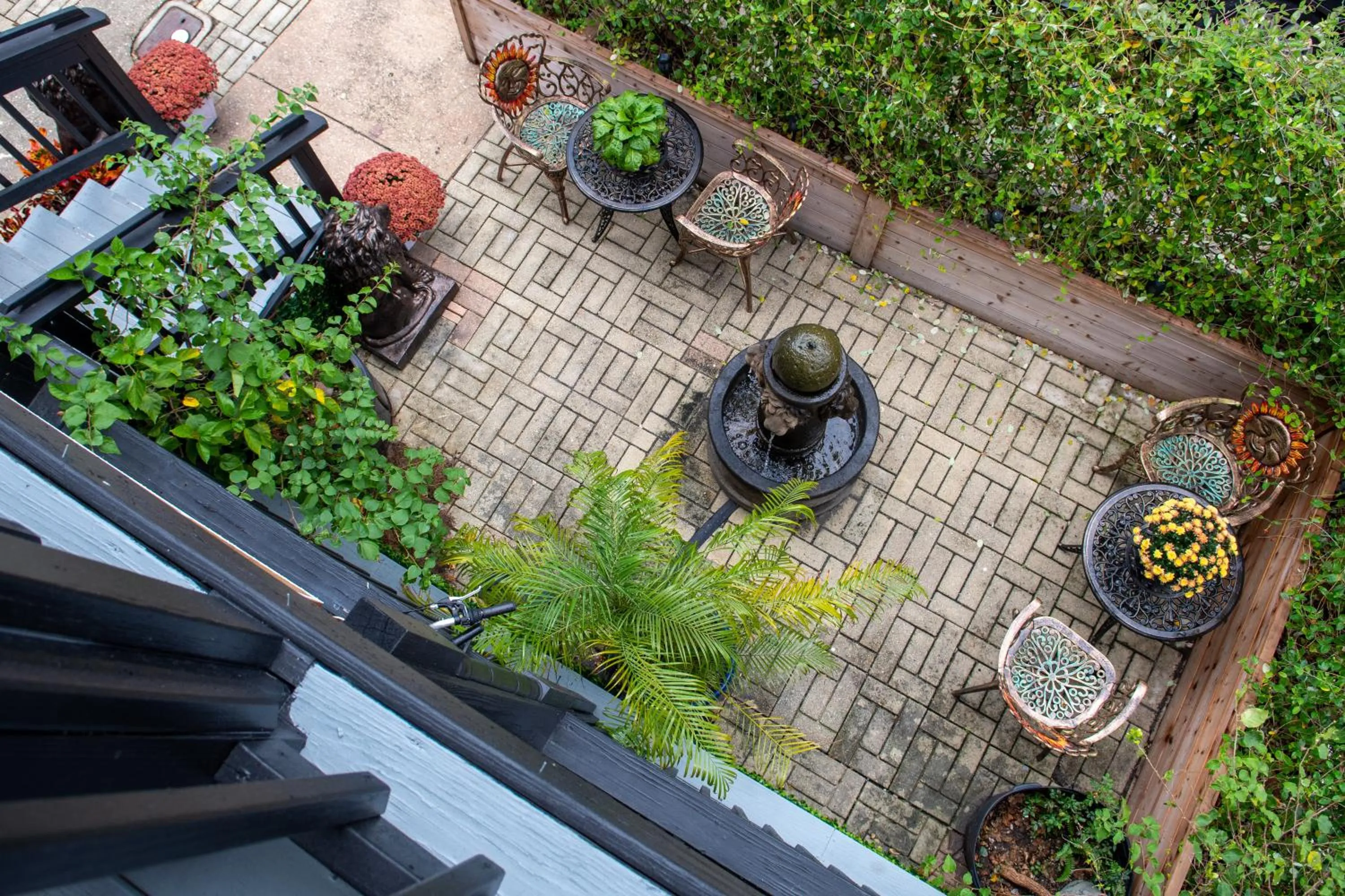 Patio in Casa De Hernandez