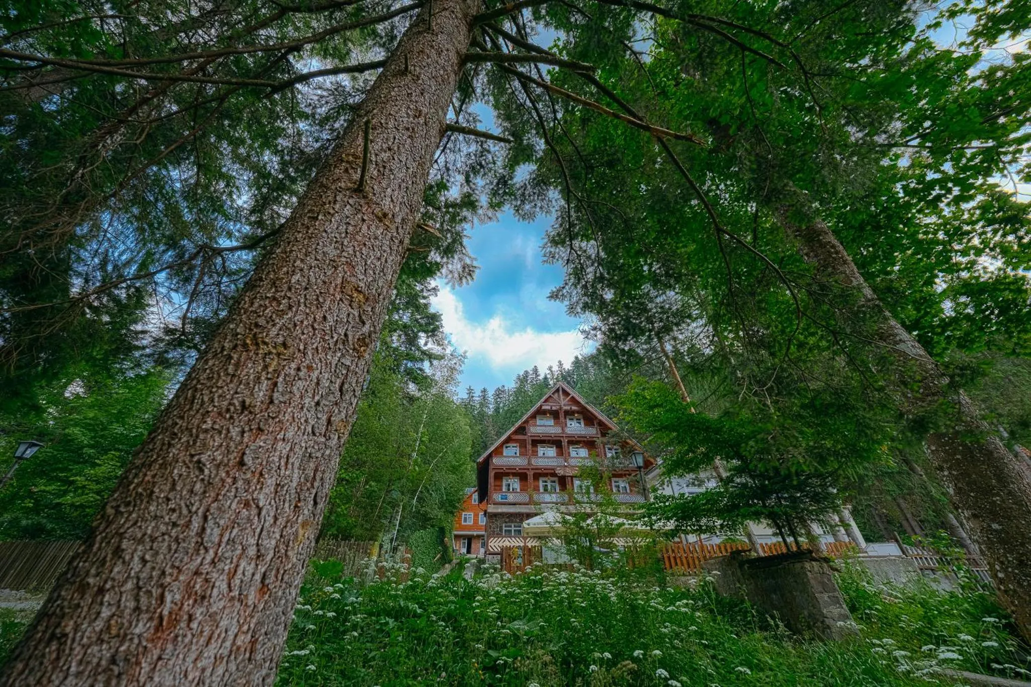 Property building in Pensiunea Vanatorul