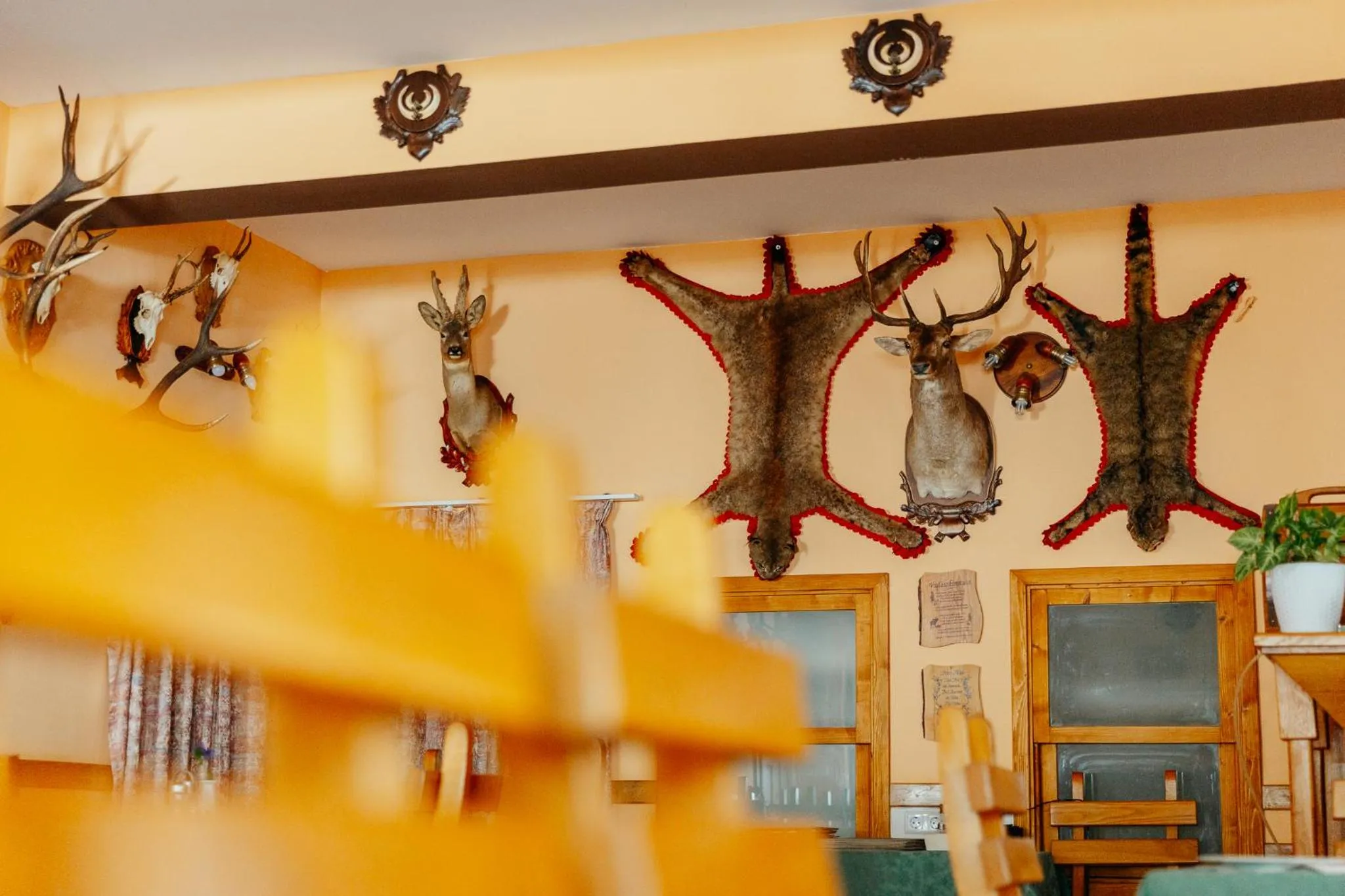 Restaurant/places to eat in Pensiunea Vanatorul