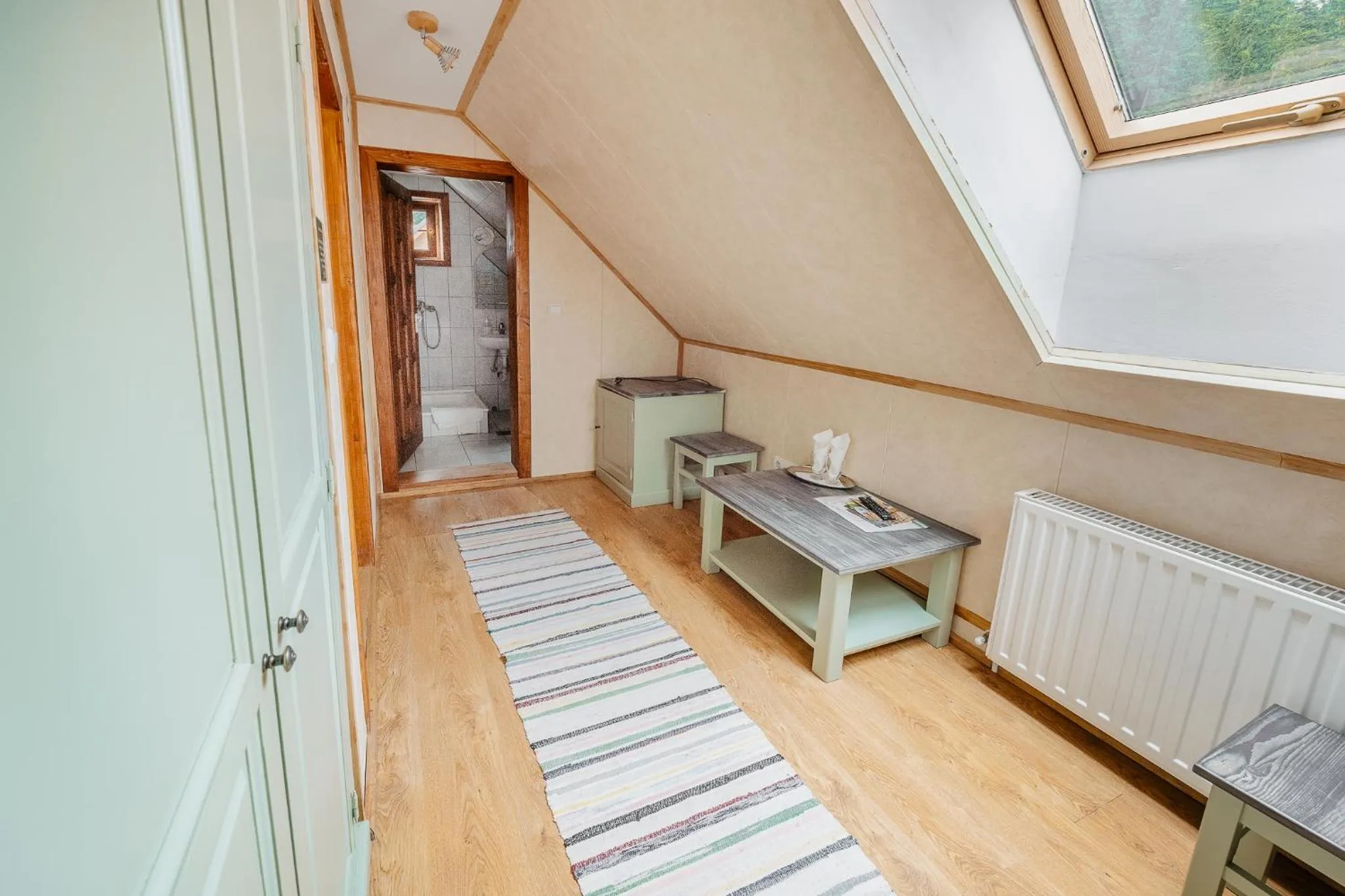 Photo of the whole room in Pensiunea Vanatorul