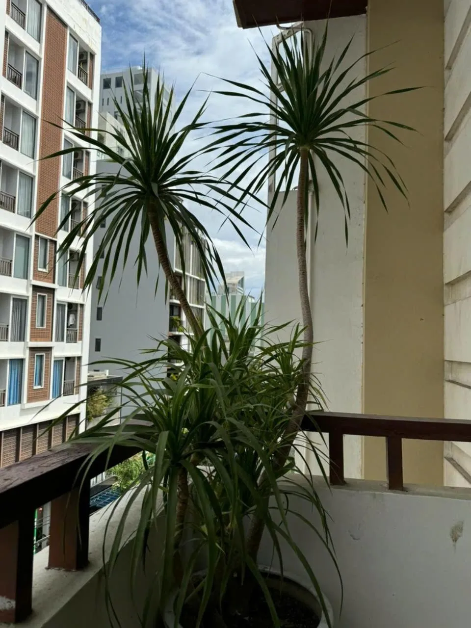 Balcony/Terrace in Thanh Hiền HB Hotel