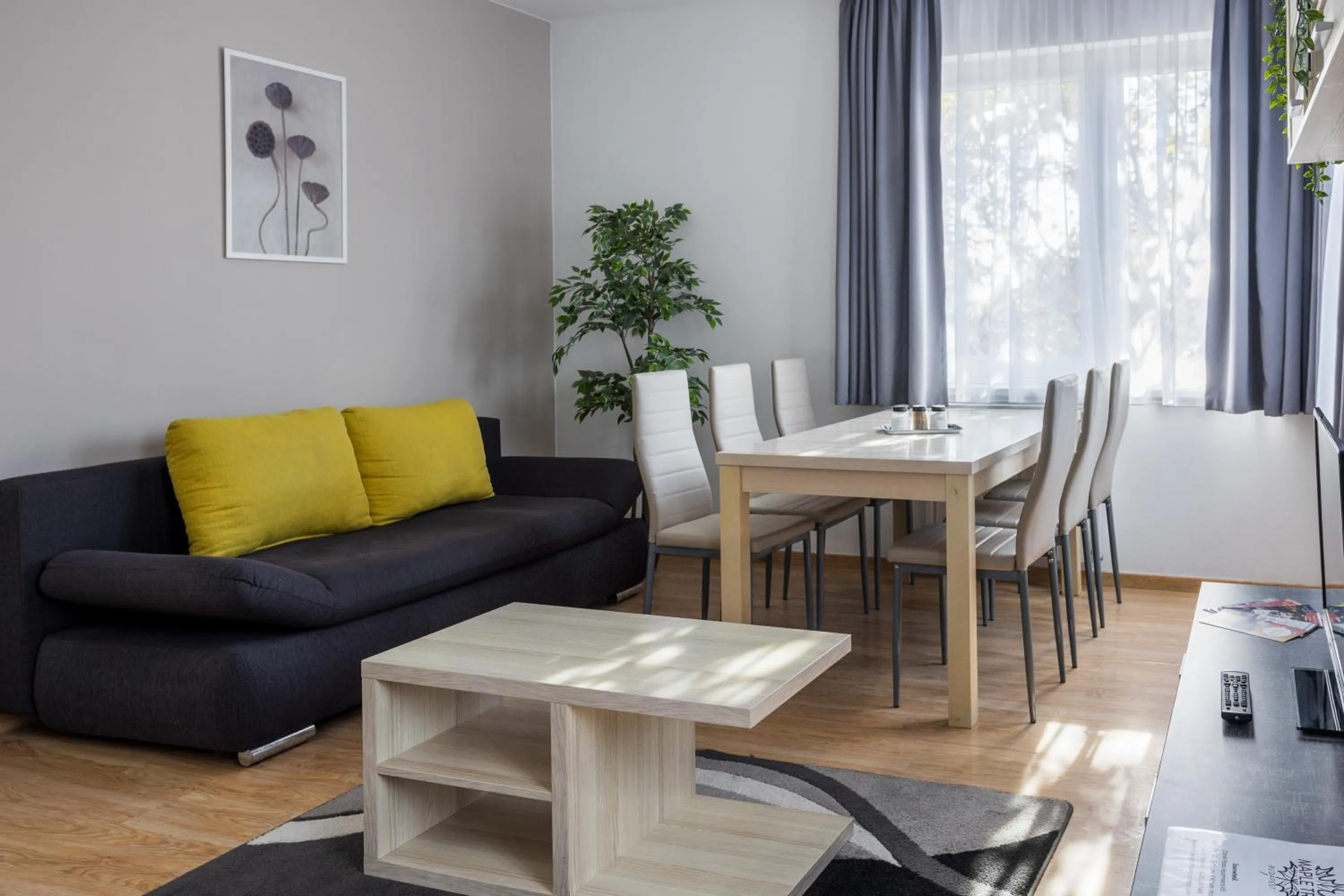 Living room in Maple Tree Budget Apartments