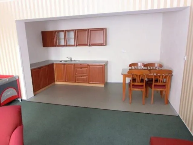 Kitchen or kitchenette in Penzion Mova