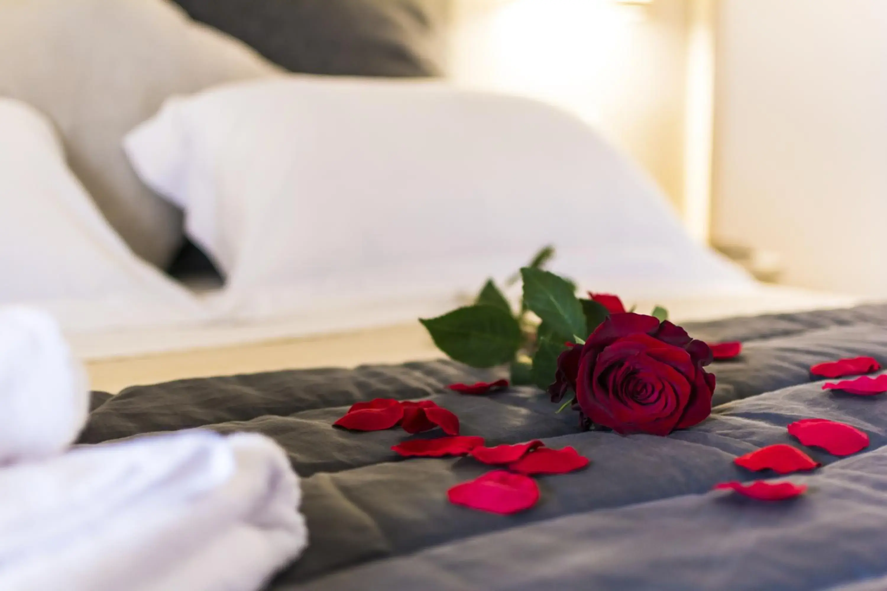 Triple Room in Agriturismo Il Megalite Triple Room in Agriturismo Il Megalite