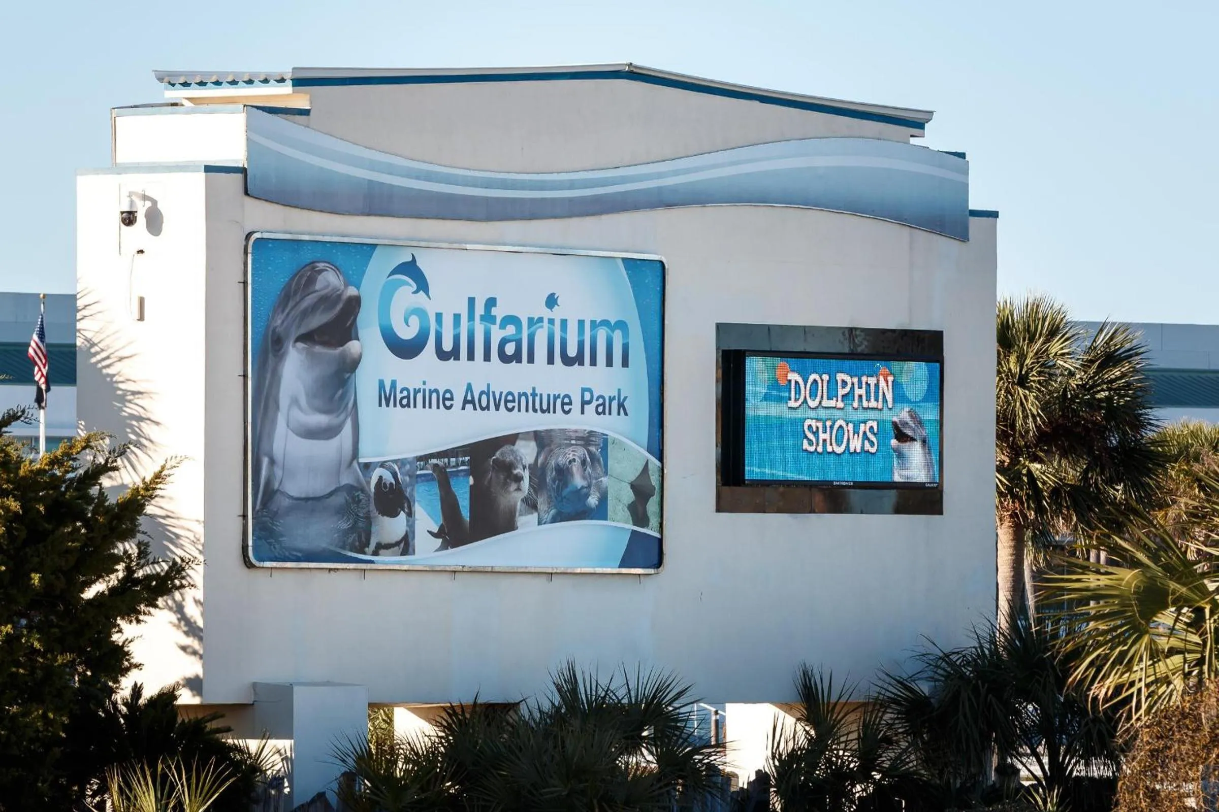 Nautilus 2710 Gulf View 7th Flr 2 BR 2 BA