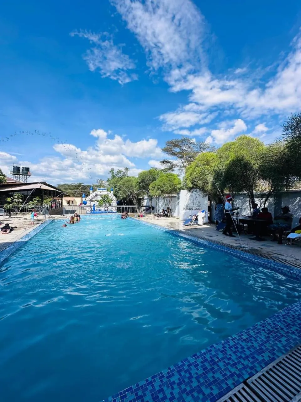 Day in Lake Naivasha Lazarus Lodge