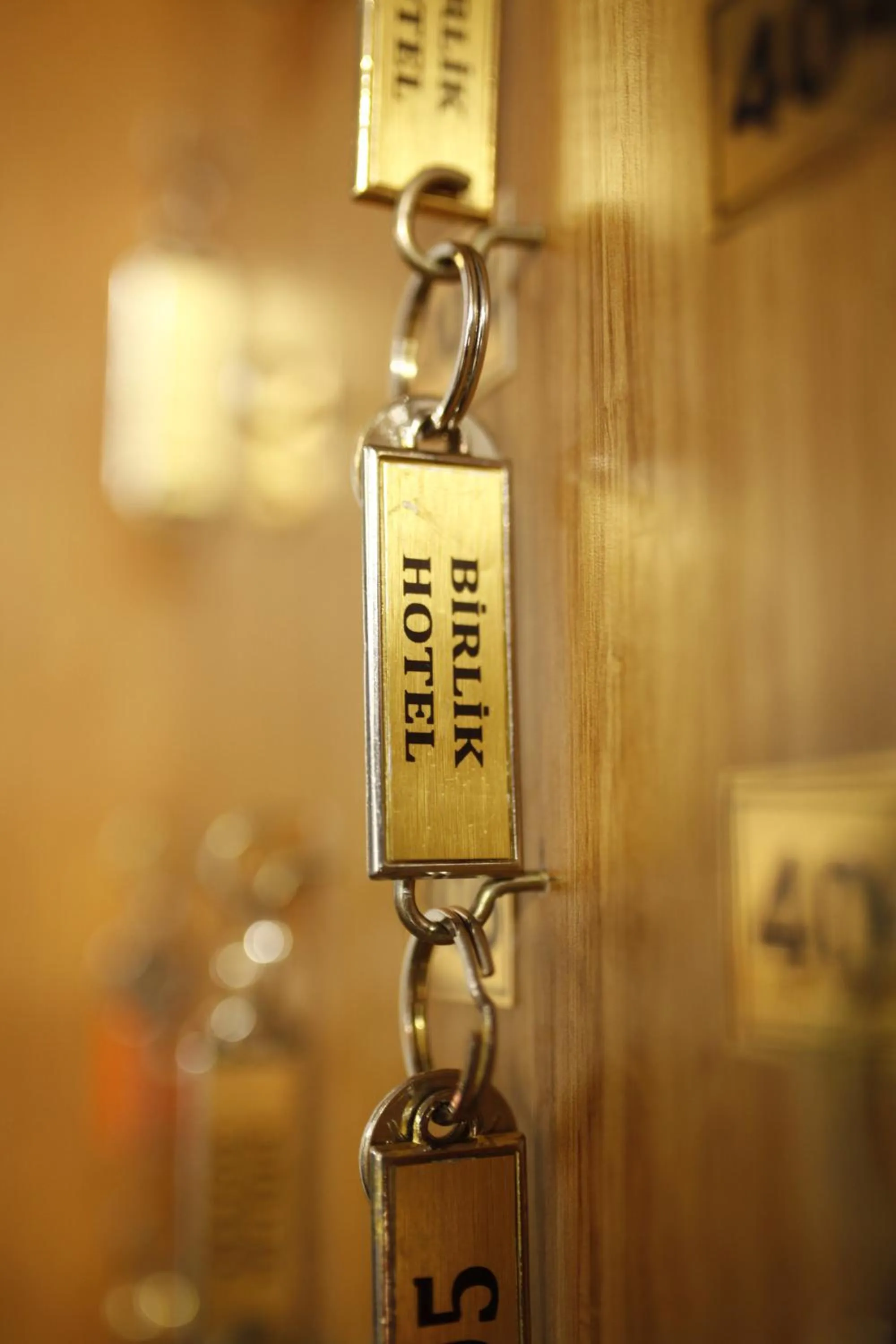 Property logo or sign in Birlik Apart Hotel