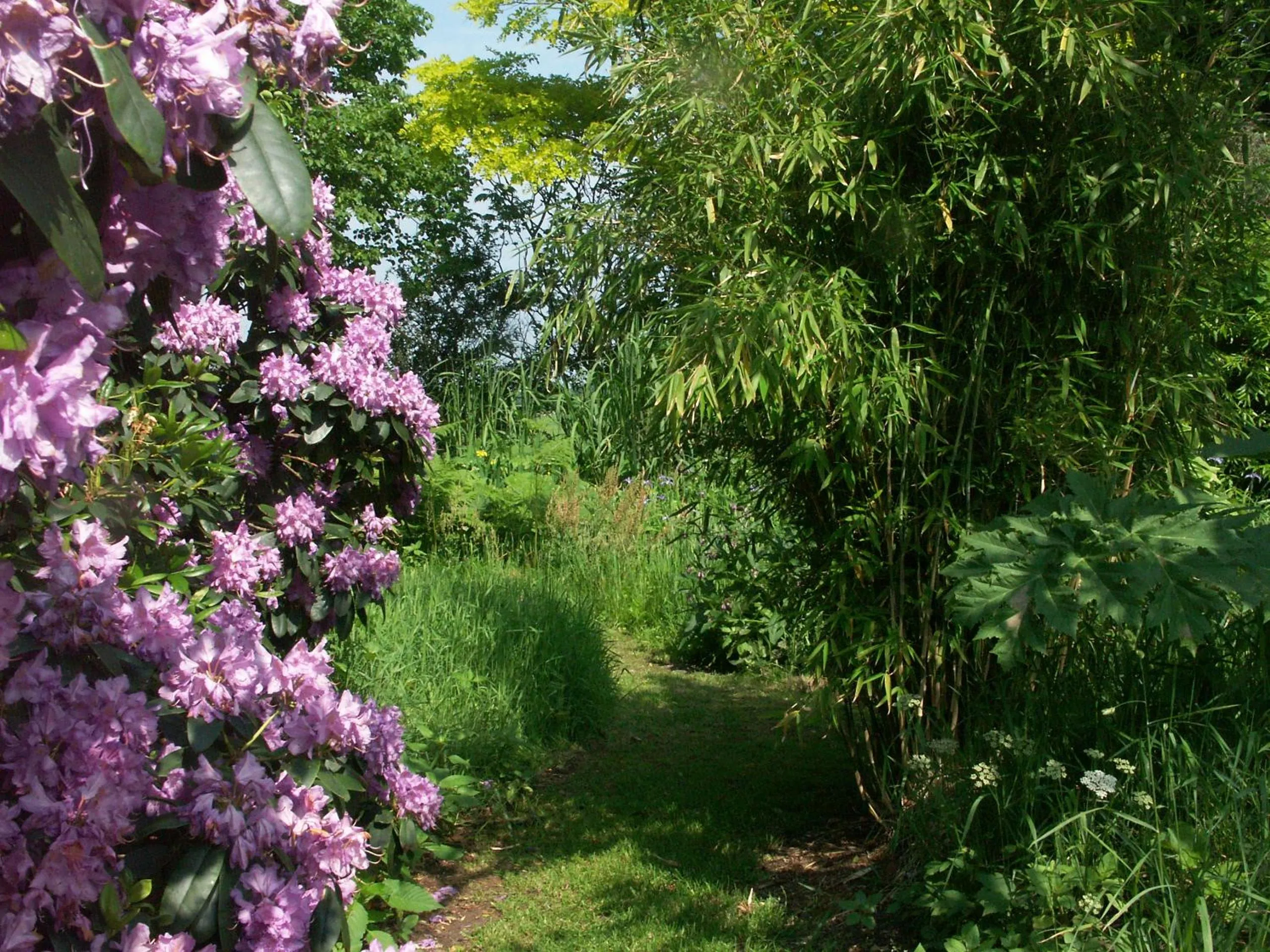 On site in Selatuinen