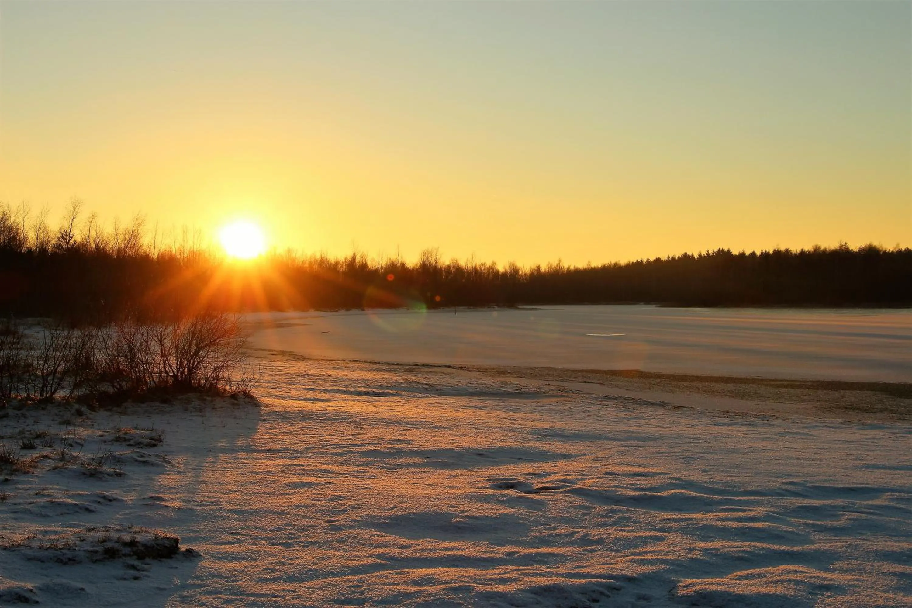 Area and facilities in Selatuinen