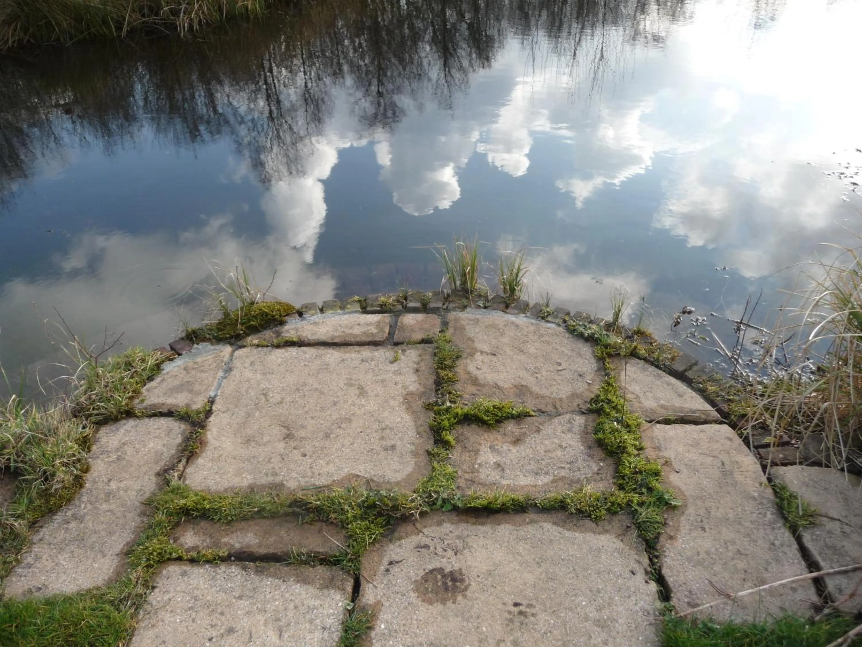 Garden in Selatuinen
