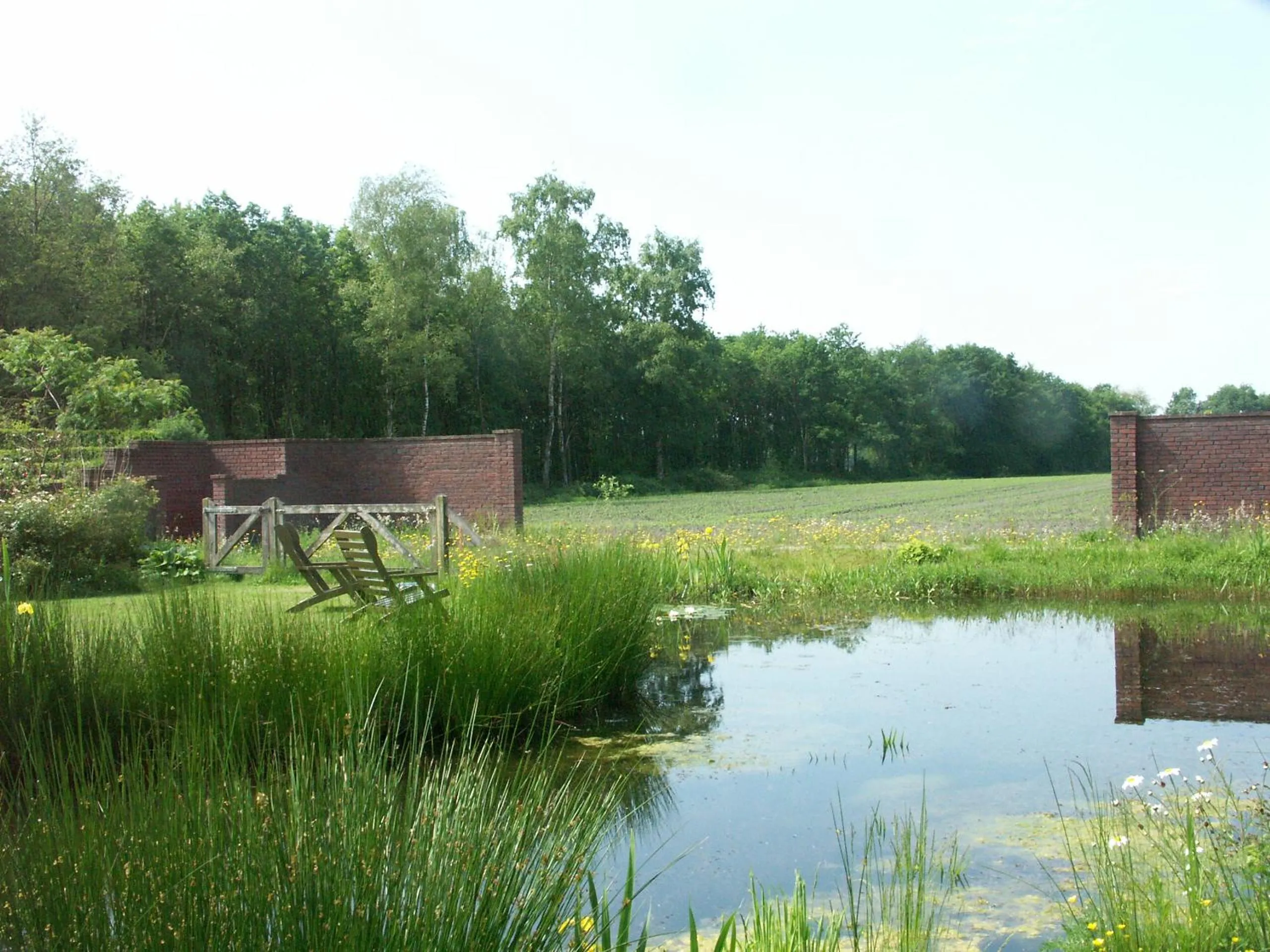 Garden in Selatuinen
