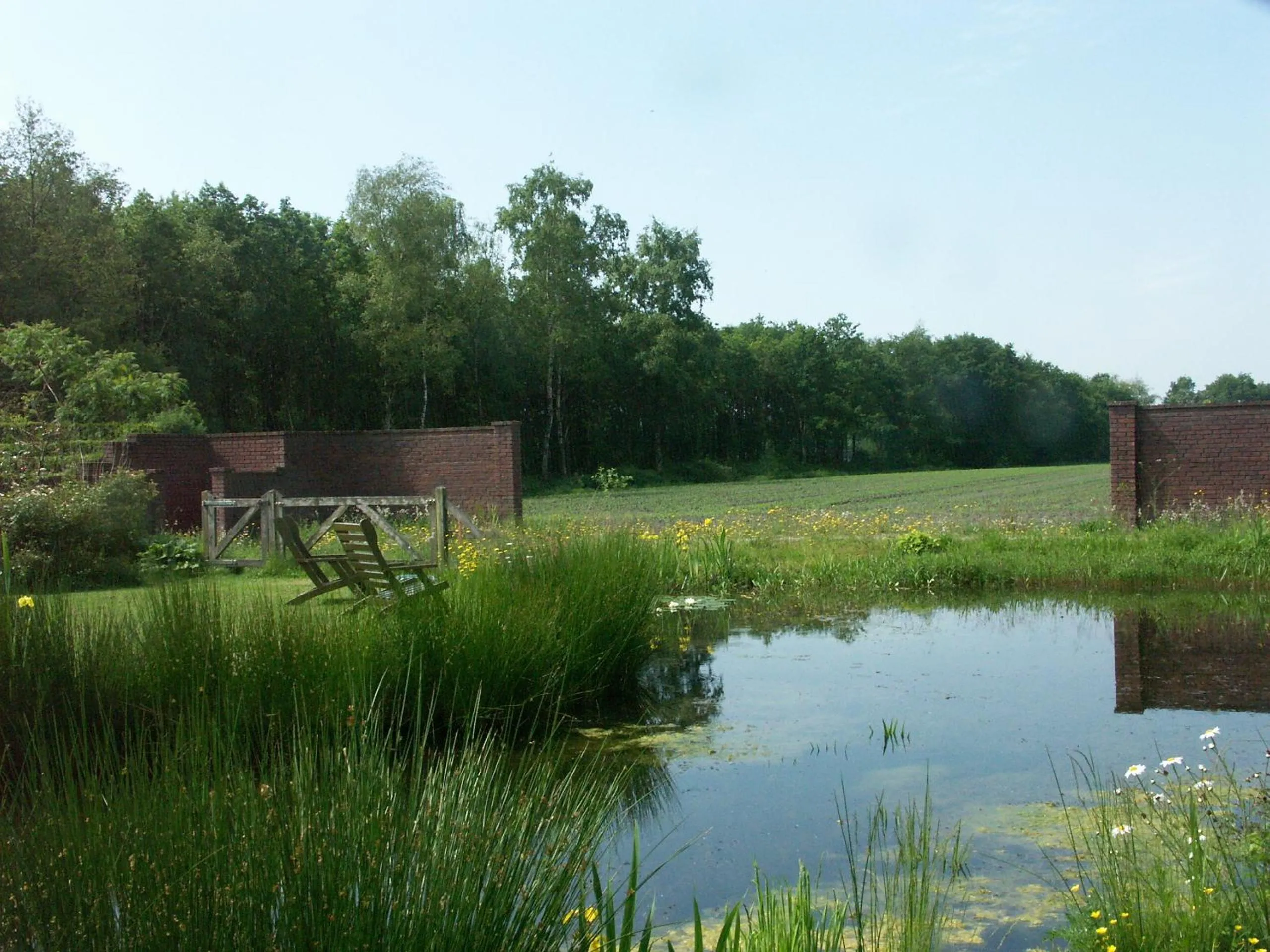 Area and facilities in Selatuinen