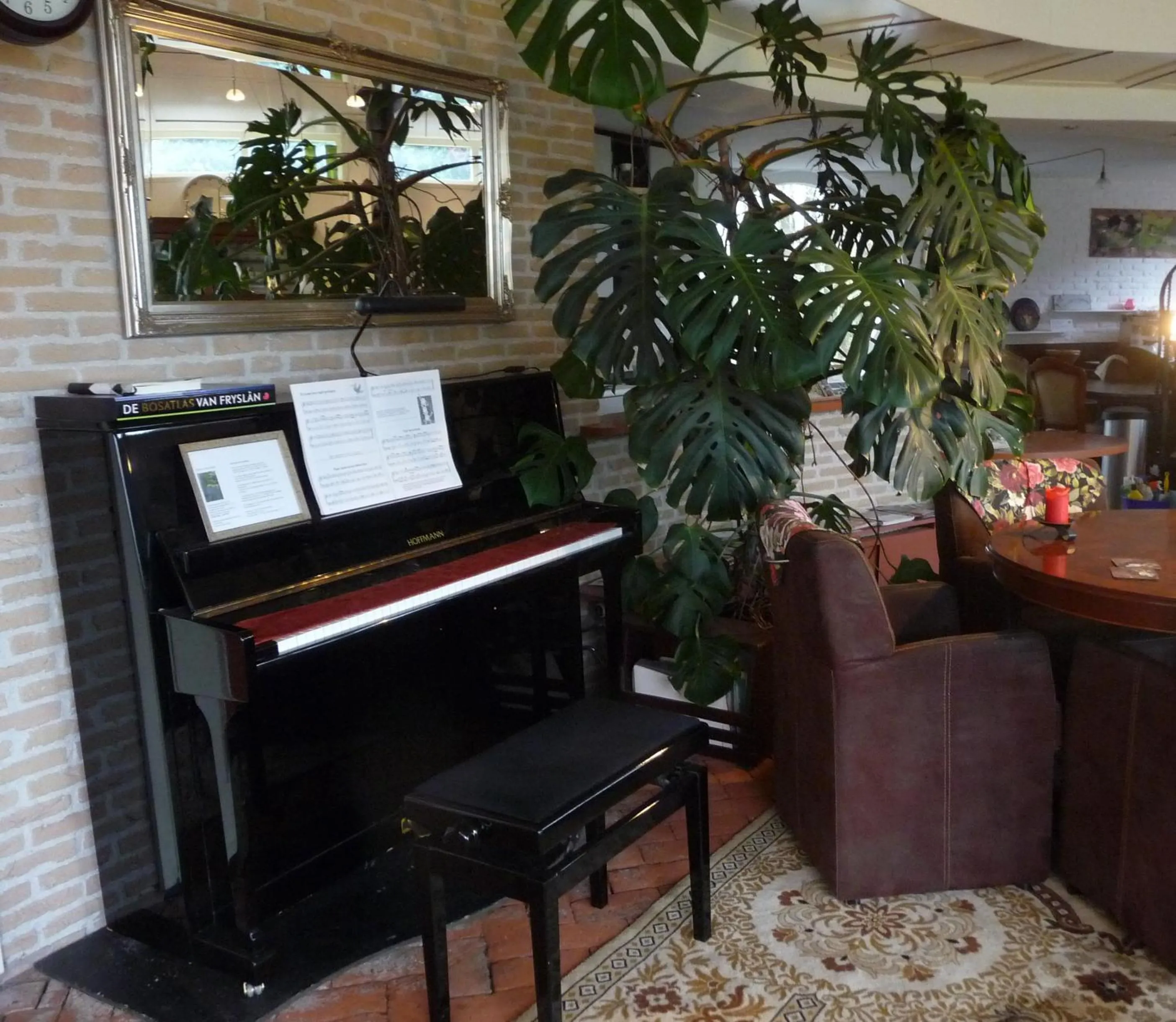 TV and multimedia in Selatuinen