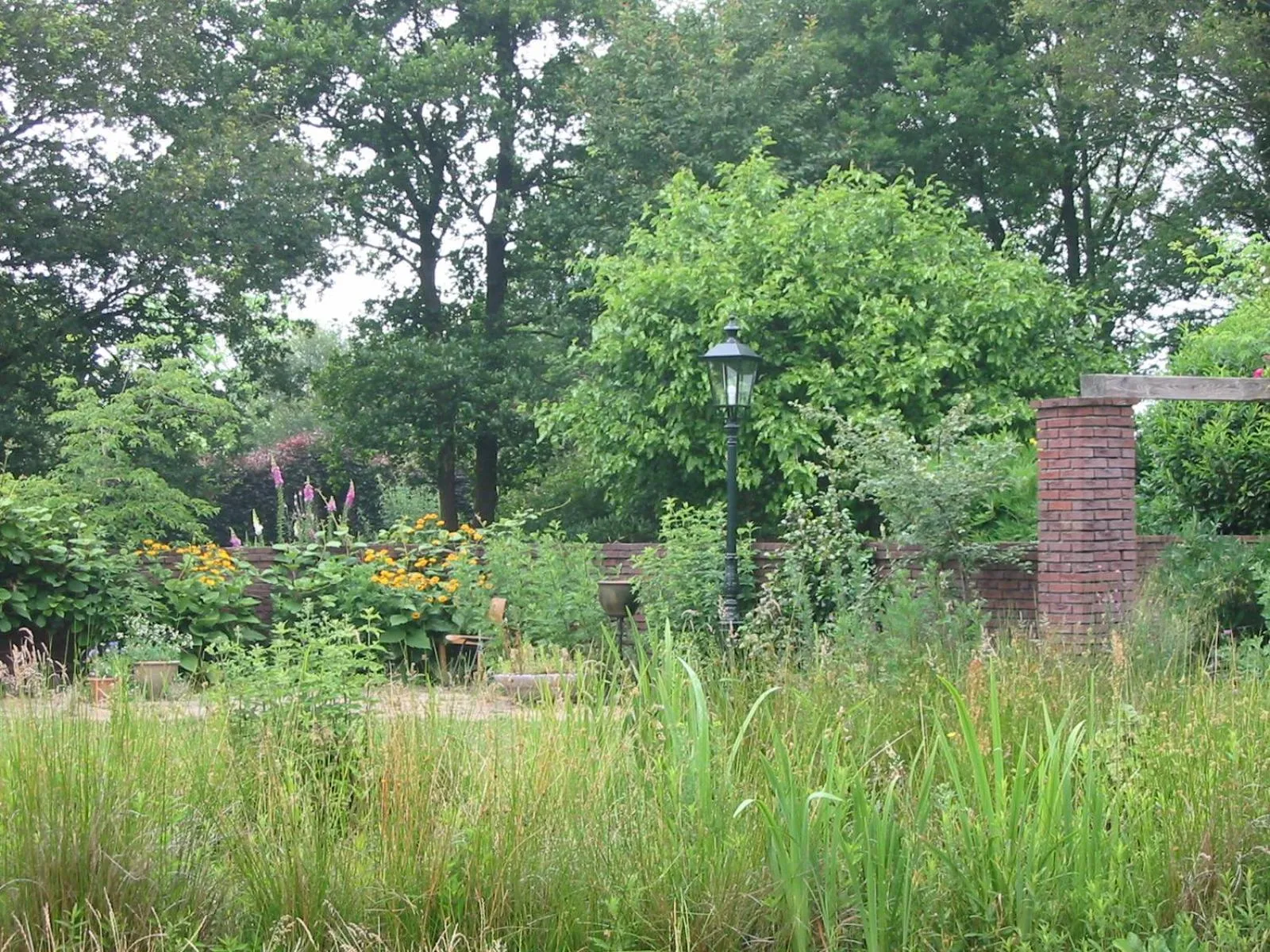 Summer in Selatuinen