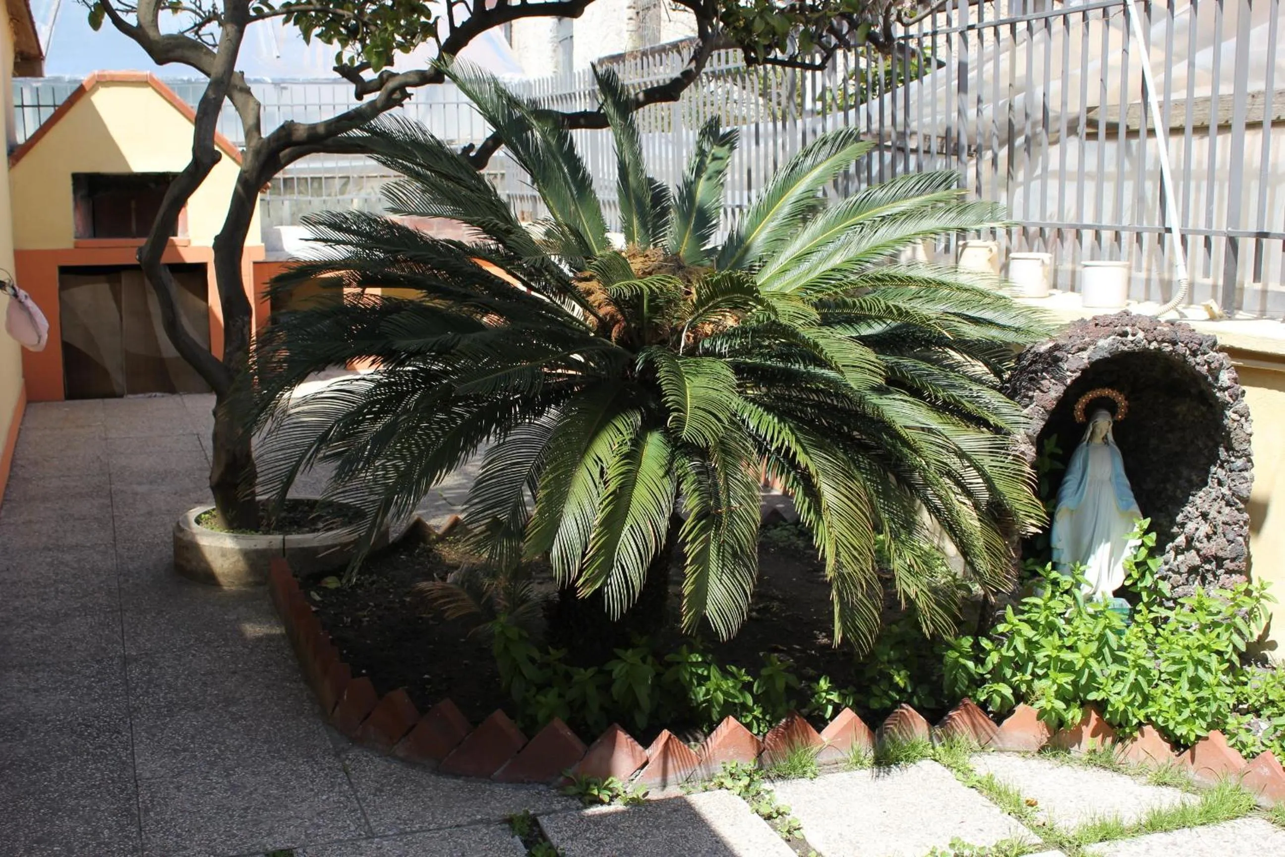 Garden in Domus Felix
