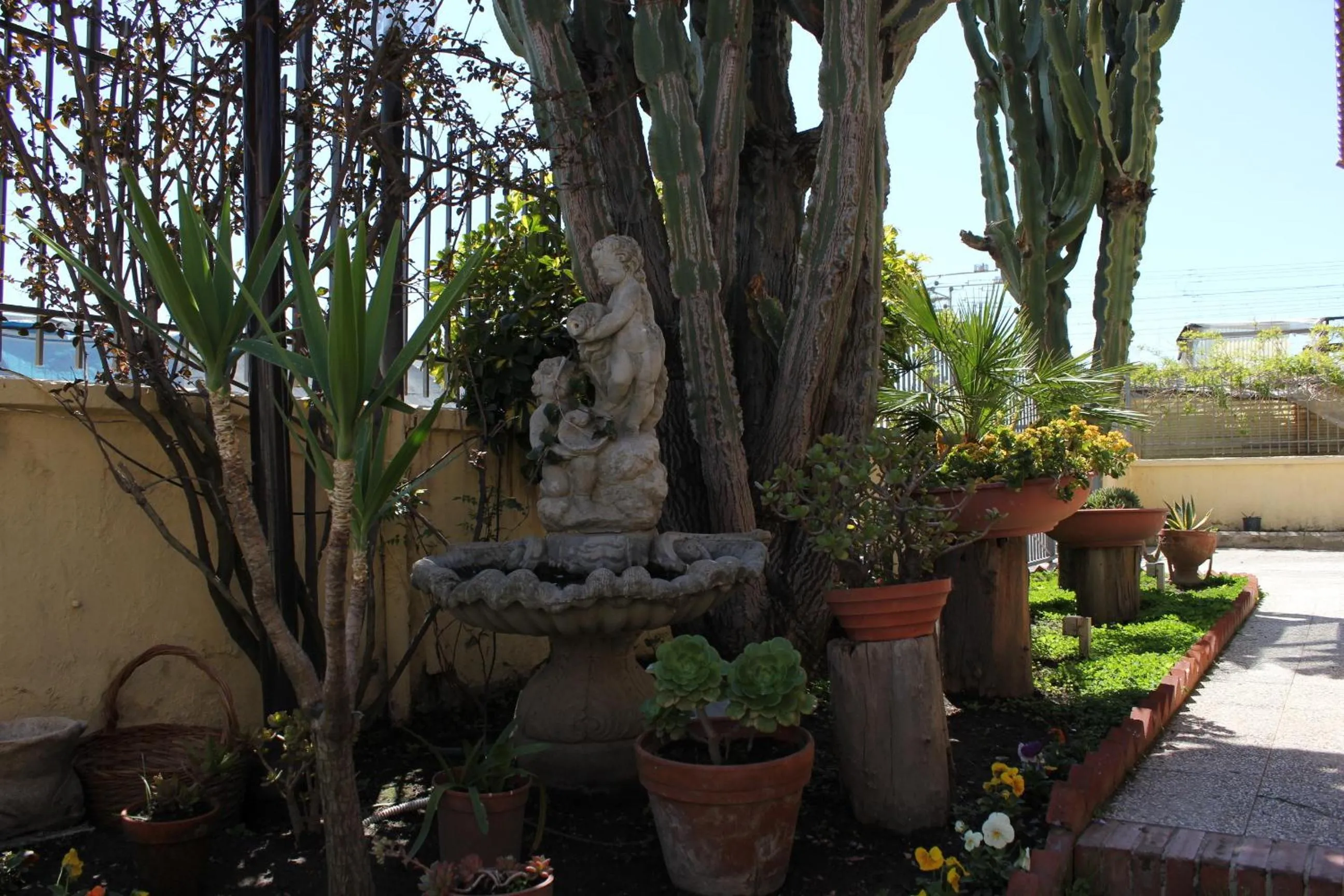 Garden view in Domus Felix