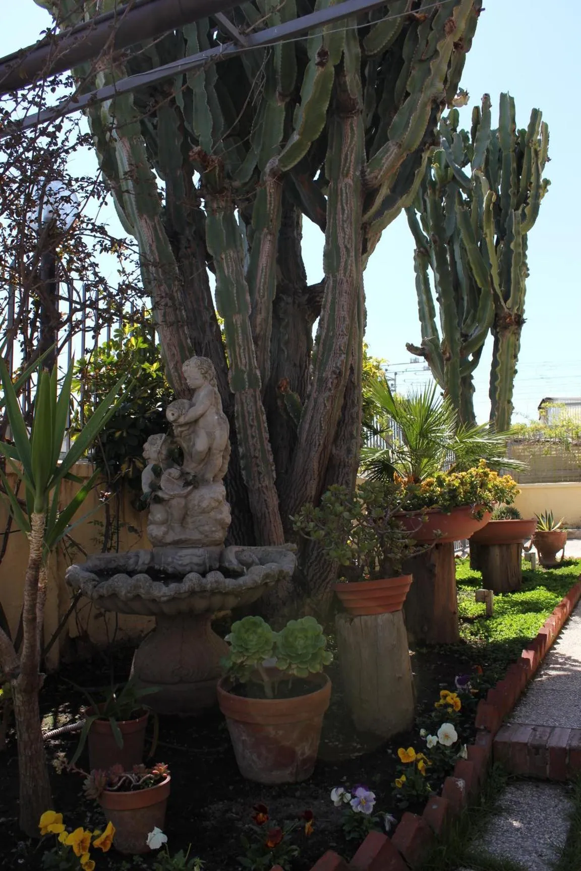 Garden view in Domus Felix