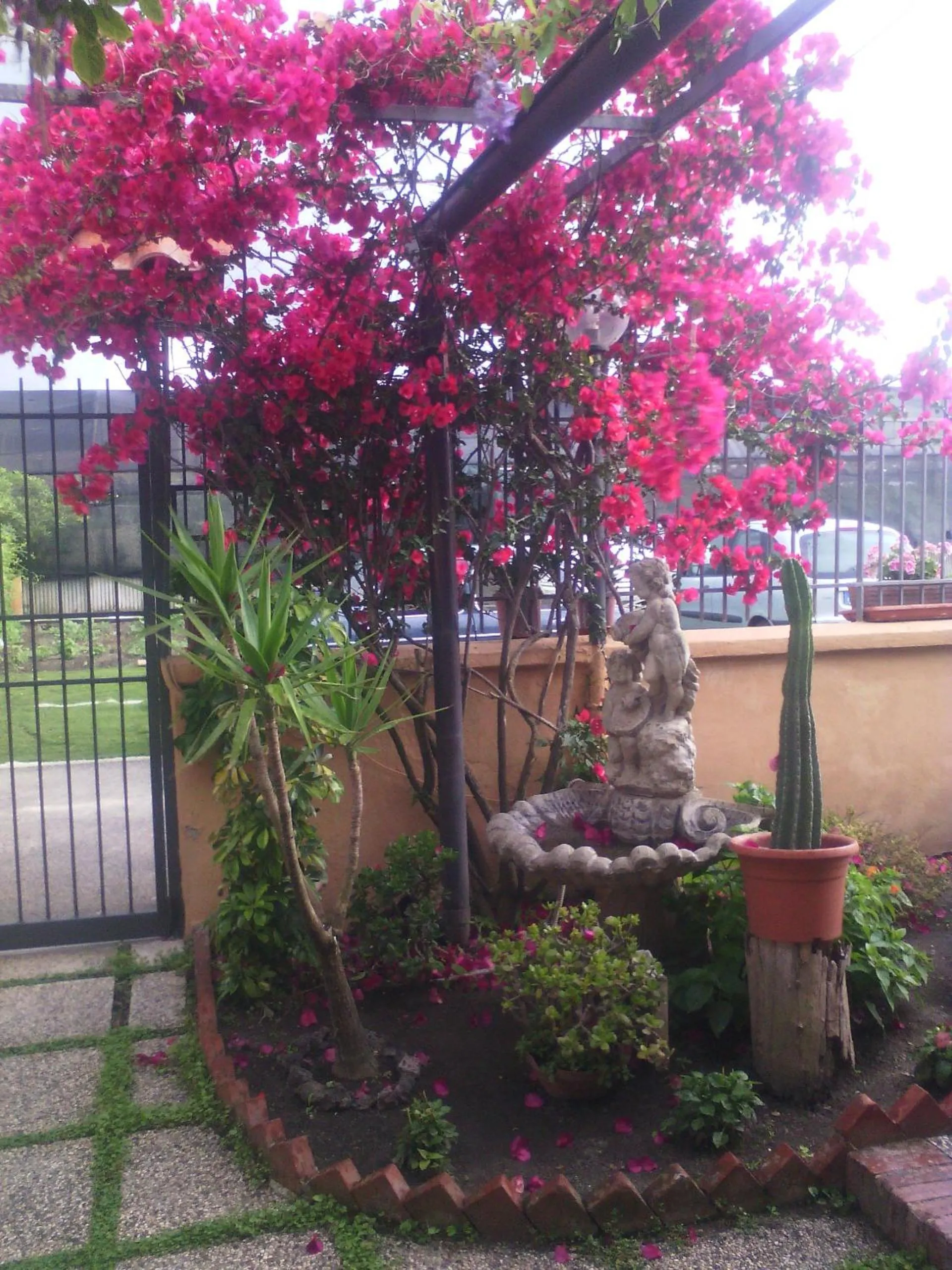 Garden in Domus Felix