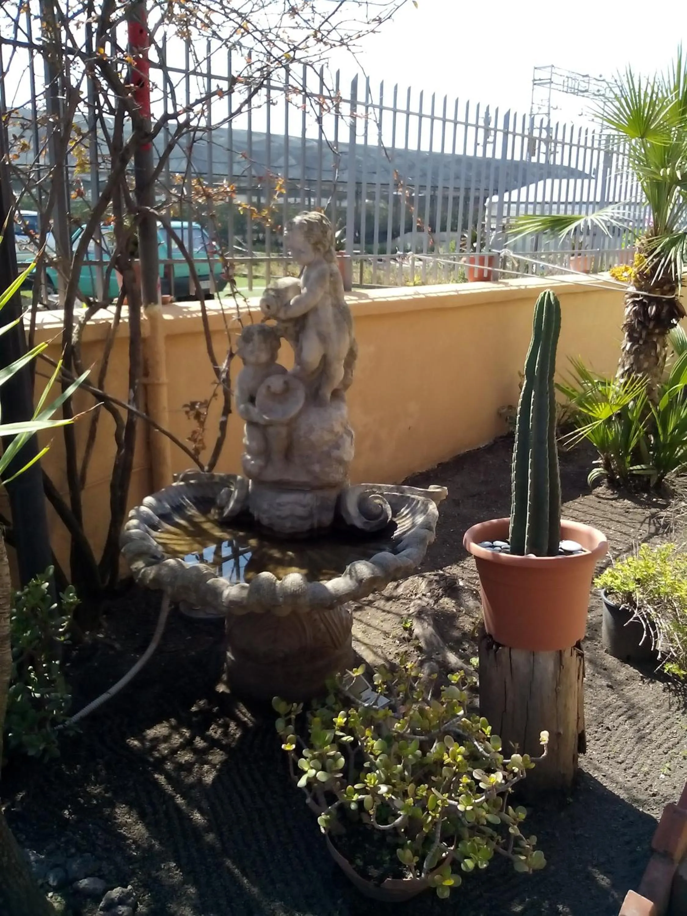 Garden in Domus Felix