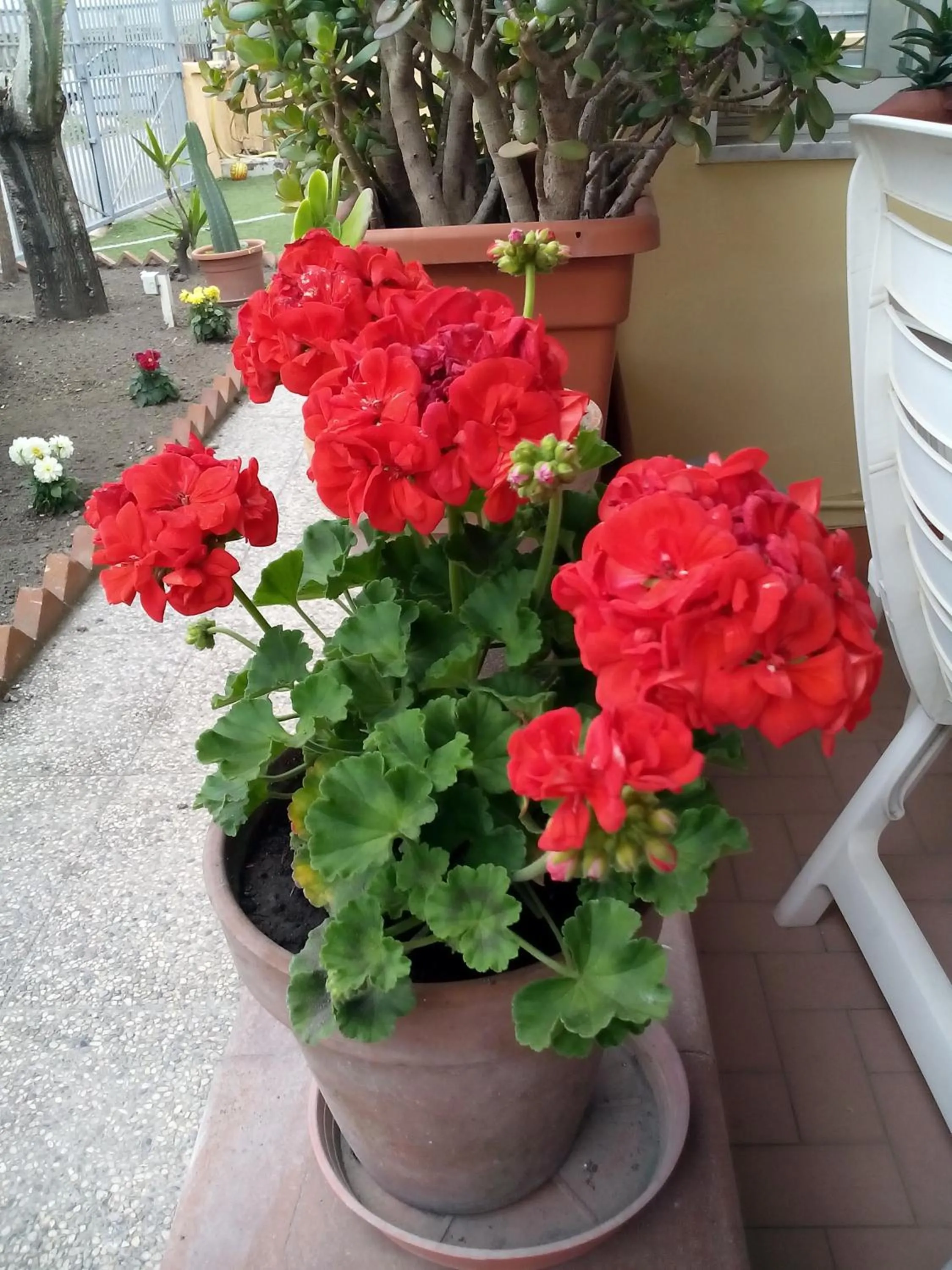 Decorative detail in Domus Felix