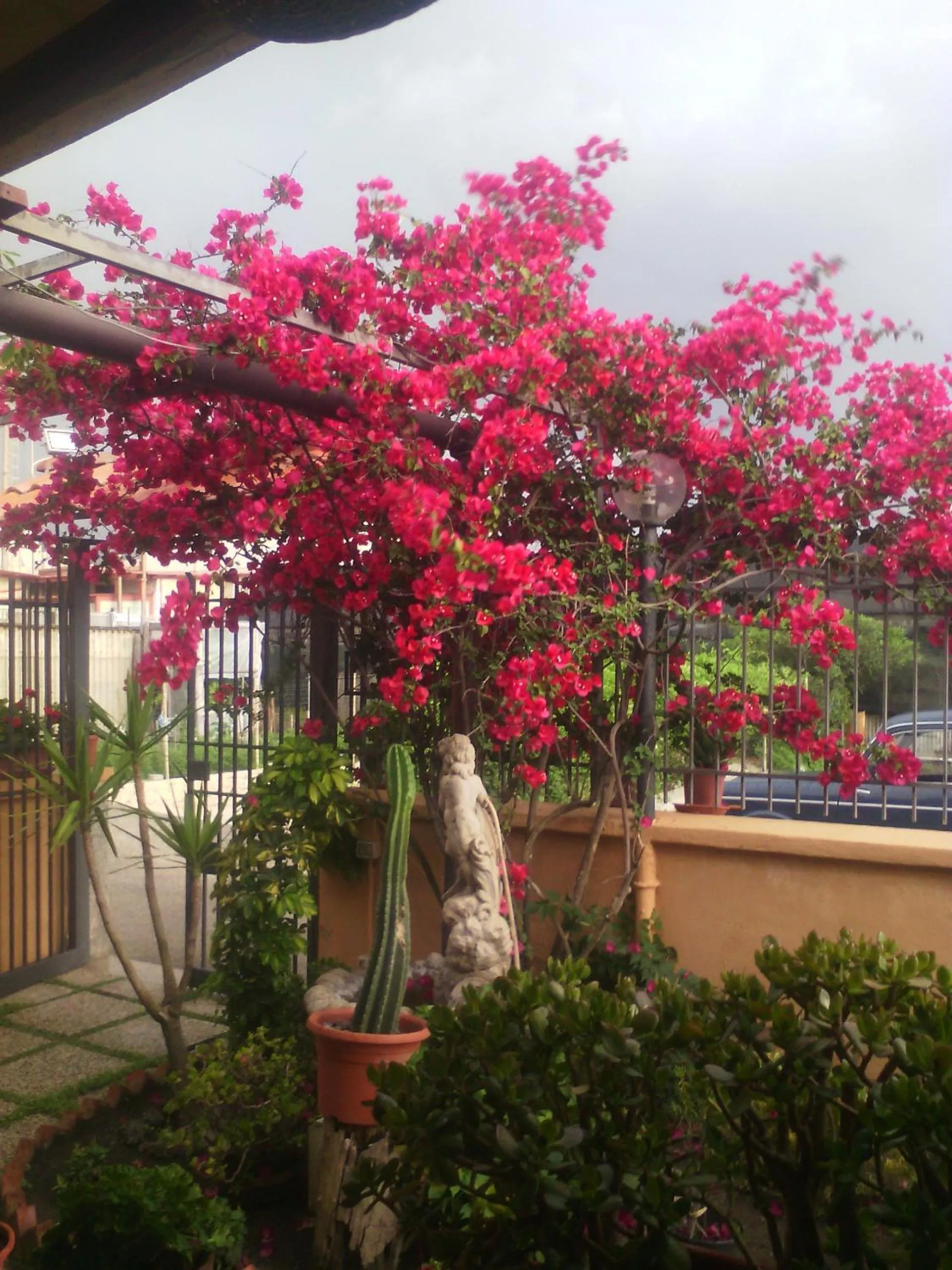 Garden in Domus Felix