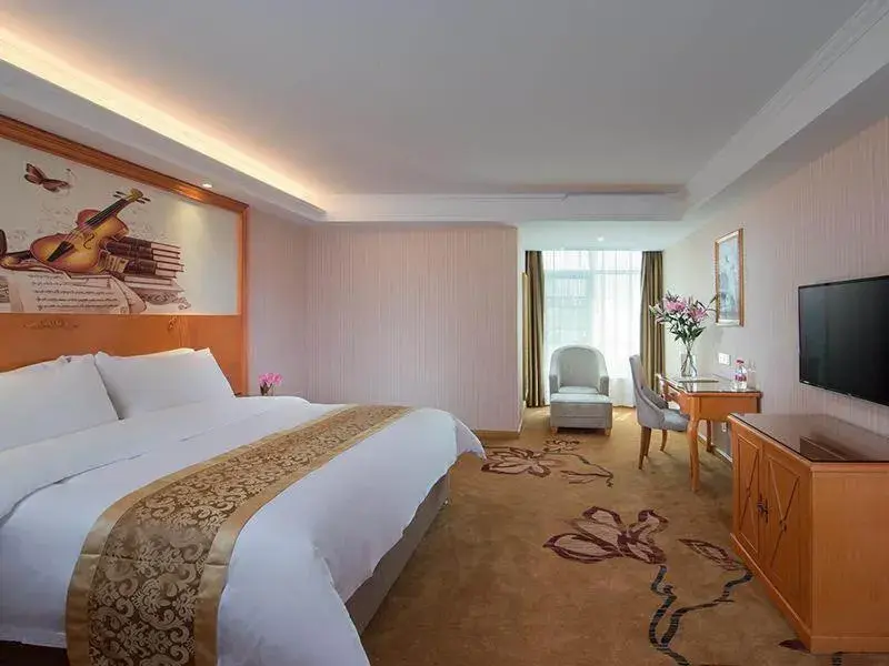 Vienna hotel Guangdong Chaozhou Chaoan store Vienna hotel Guangdong Chaozhou Chaoan store