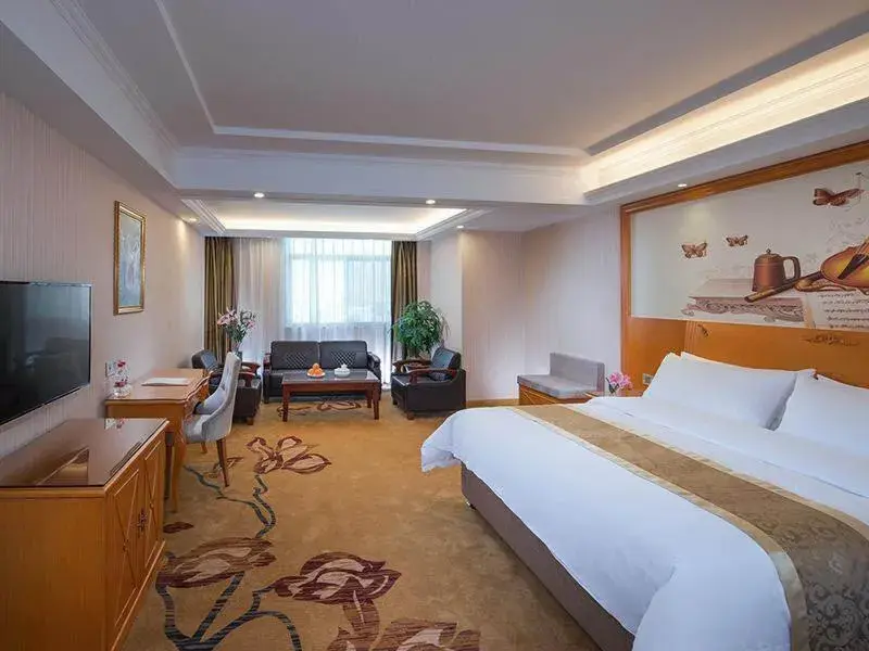 Vienna hotel Guangdong Chaozhou Chaoan store Vienna hotel Guangdong Chaozhou Chaoan store