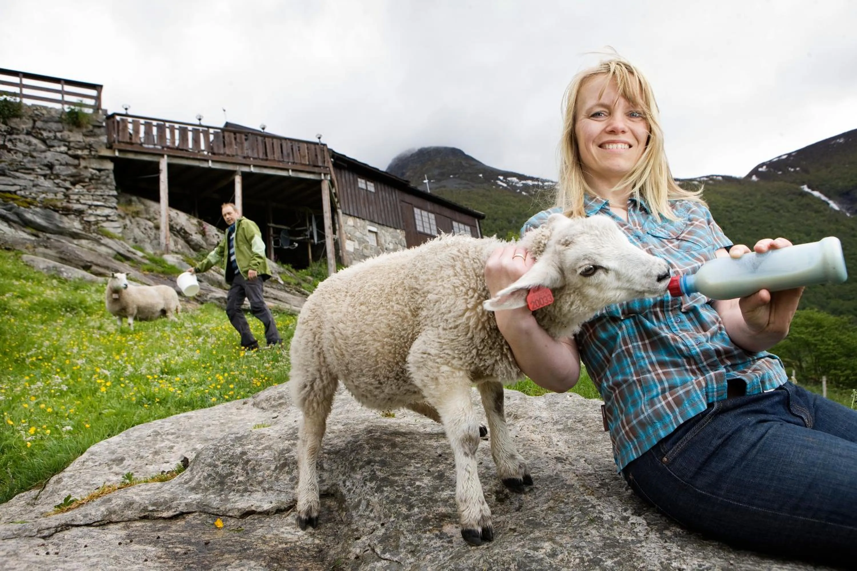 Animals in Westerås Gard