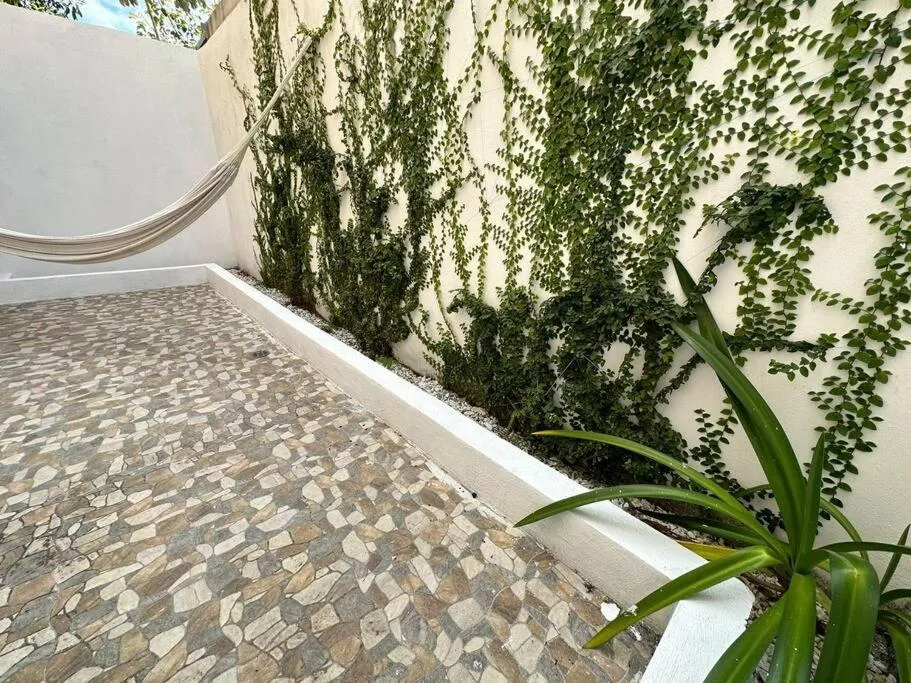 Spring in Depa Xcacel, Playa del Carmen