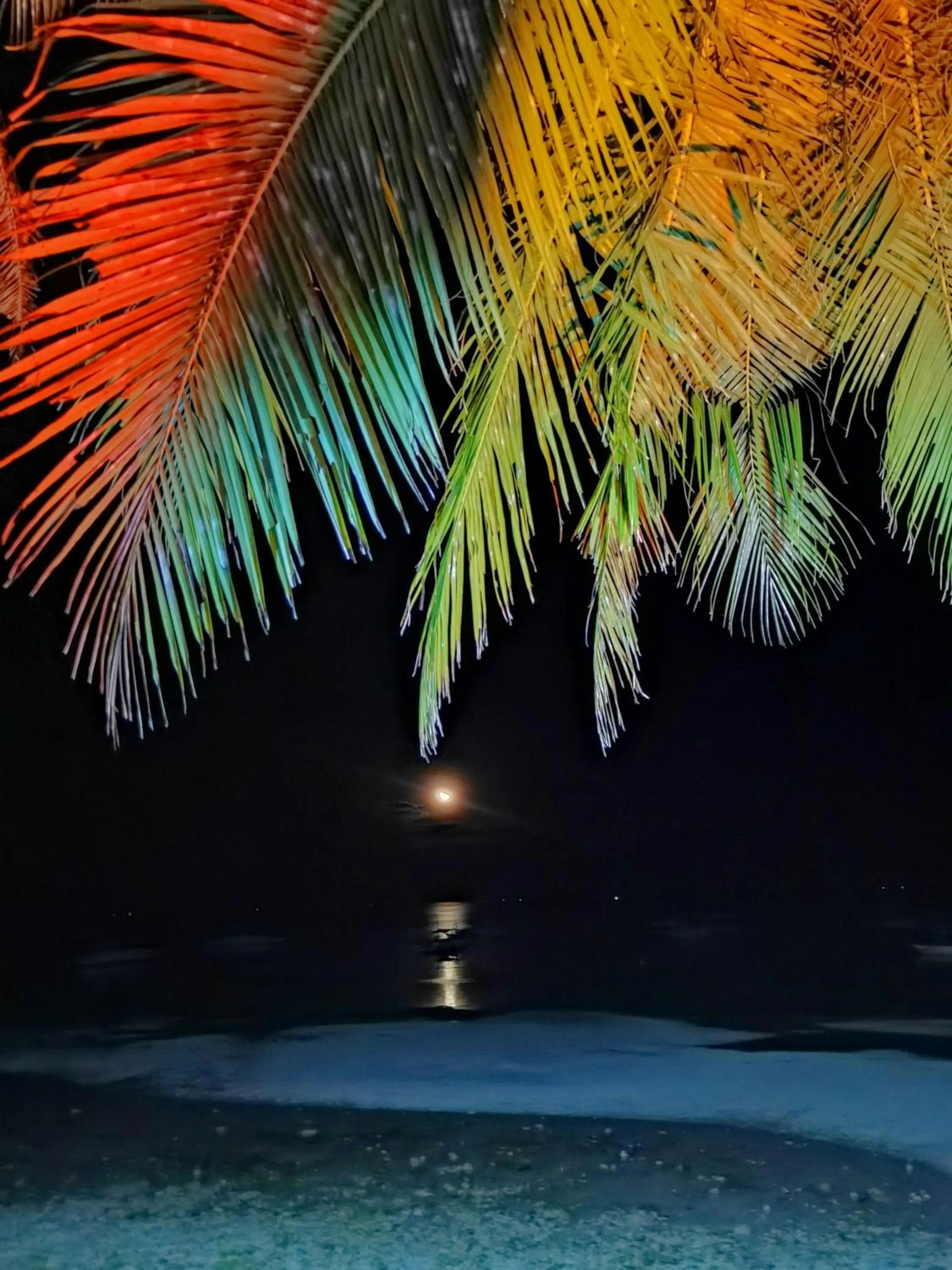 On Board Panglao Beach Hostel & Resort with FREE MOTORBIKE