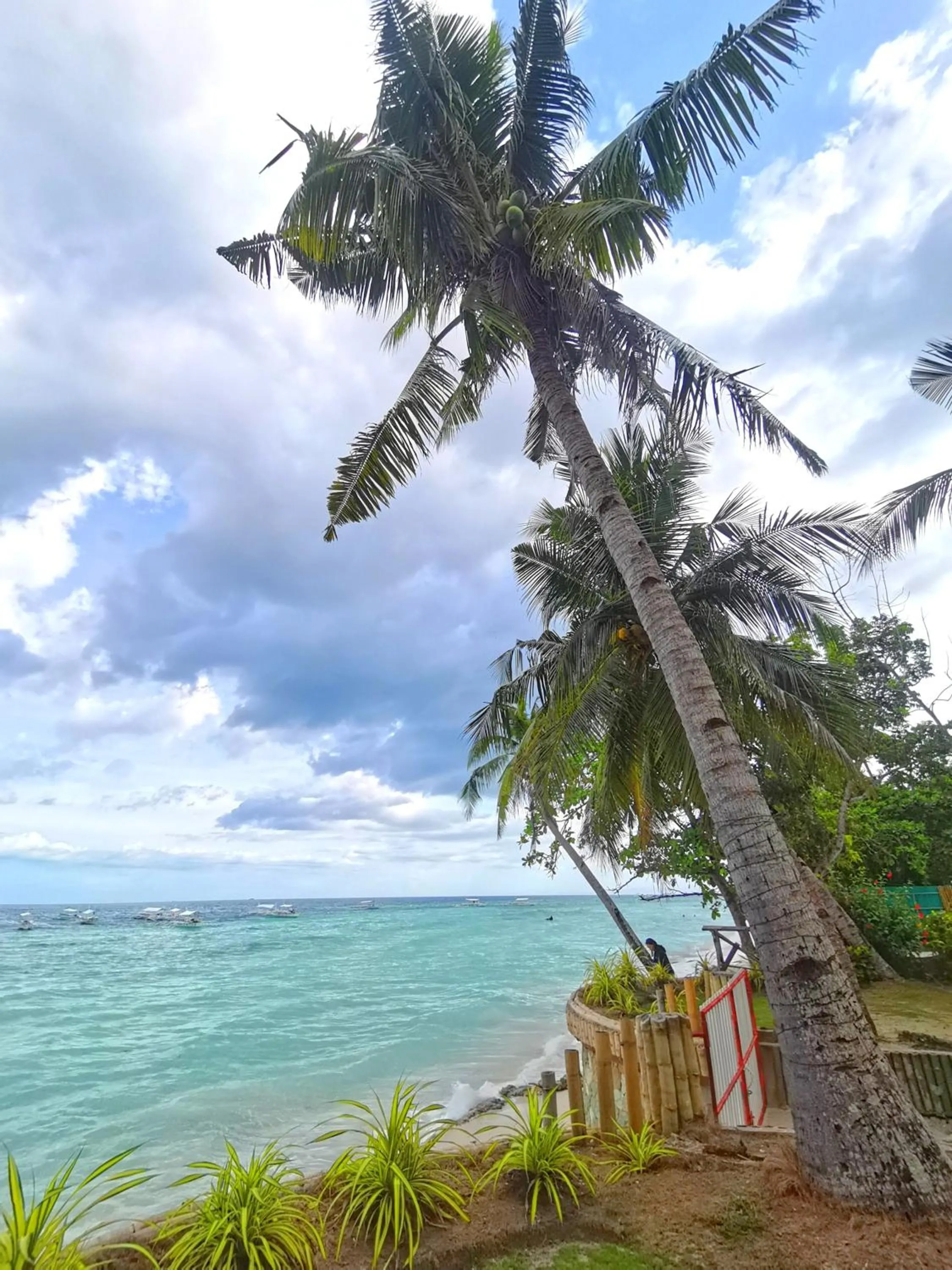 On Board Panglao Beach Hostel & Resort with FREE MOTORBIKE