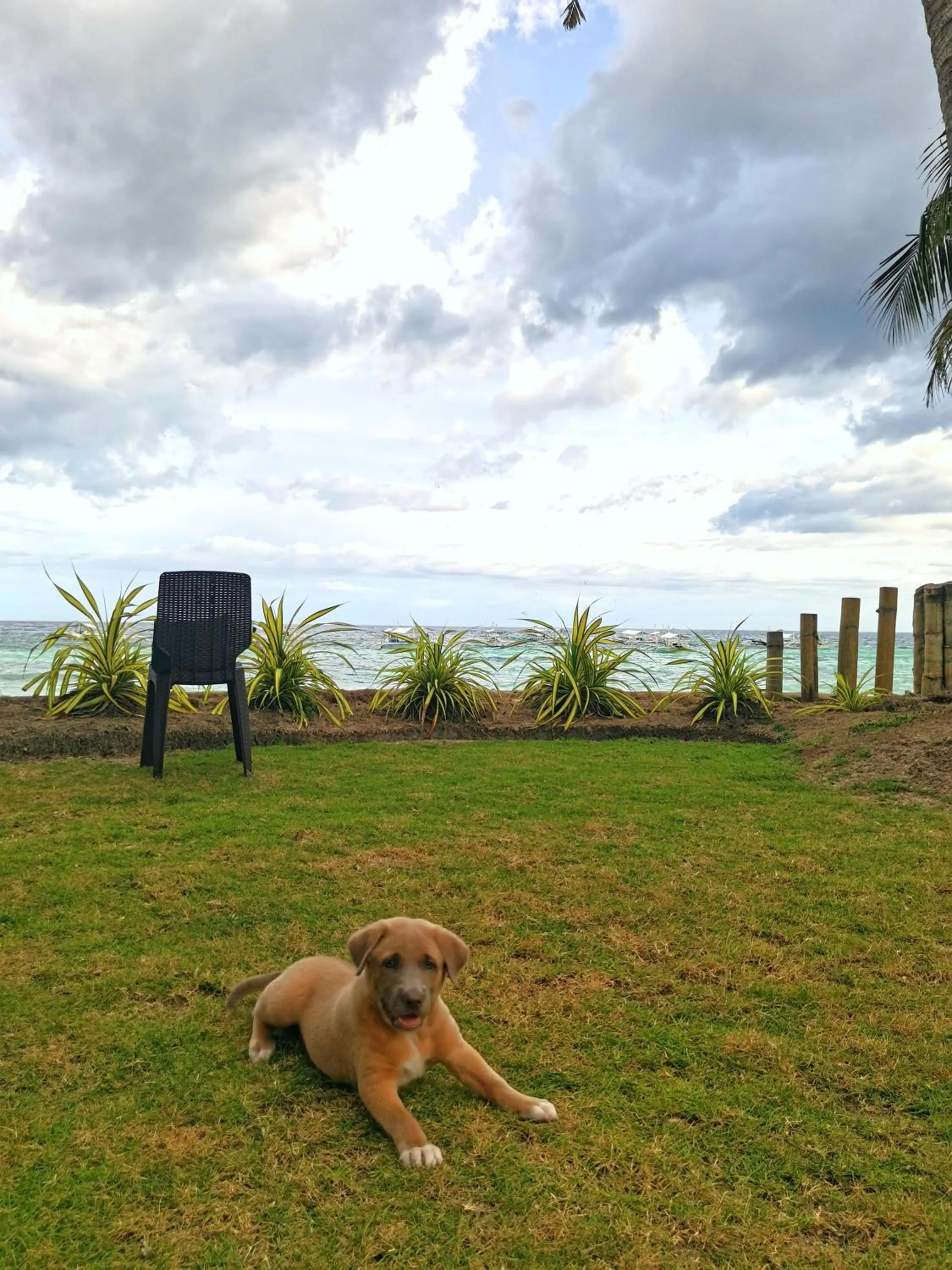 On Board Panglao Beach Hostel & Resort with FREE MOTORBIKE