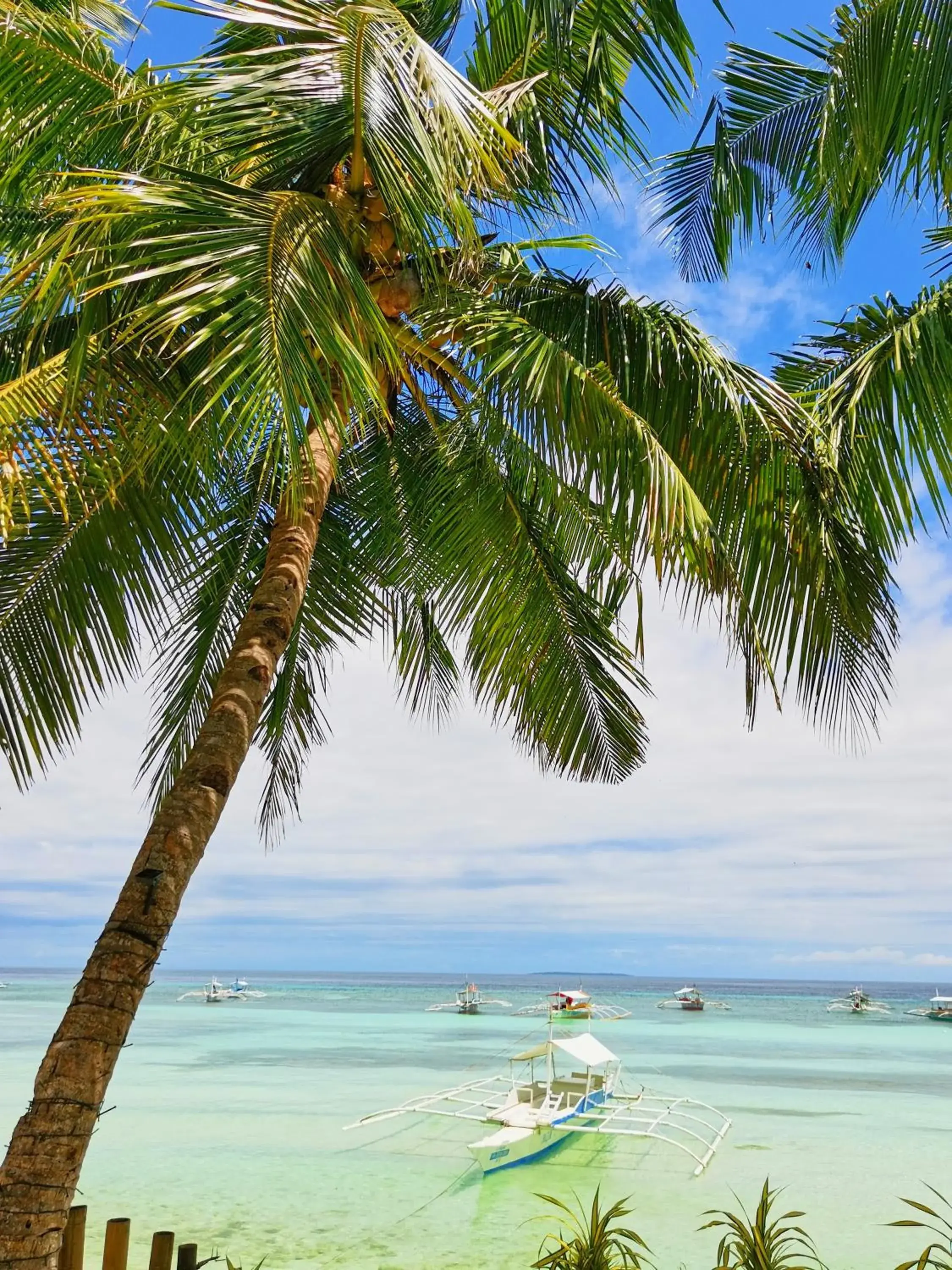 Standard Twin Room in On Board Panglao Beach Hostel & Resort with FREE MOTORBIKE Standard Twin Room in On Board Panglao Beach Hostel & Resort with FREE MOTORBIKE