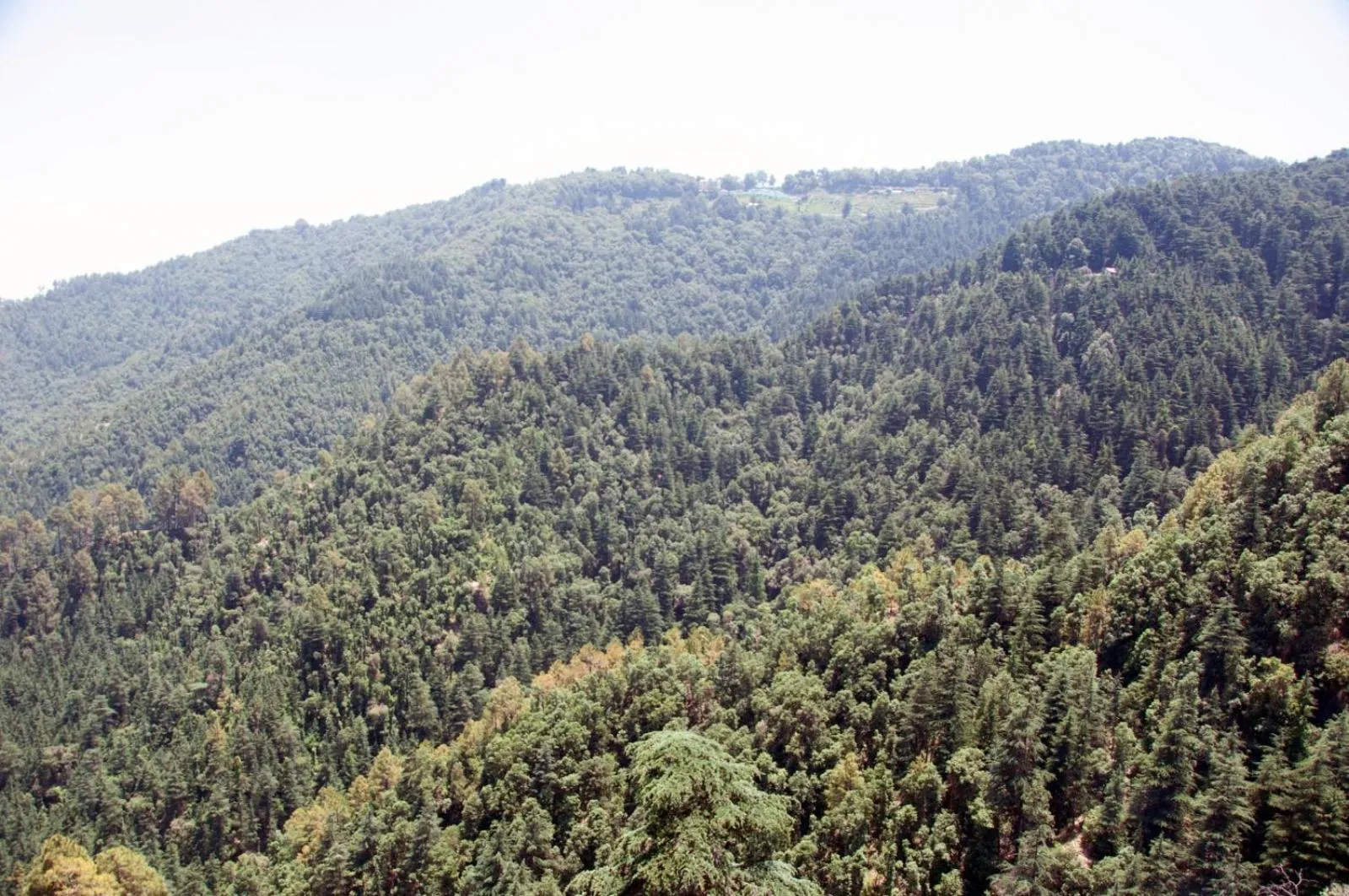 Natural landscape in Summer Hill Resort