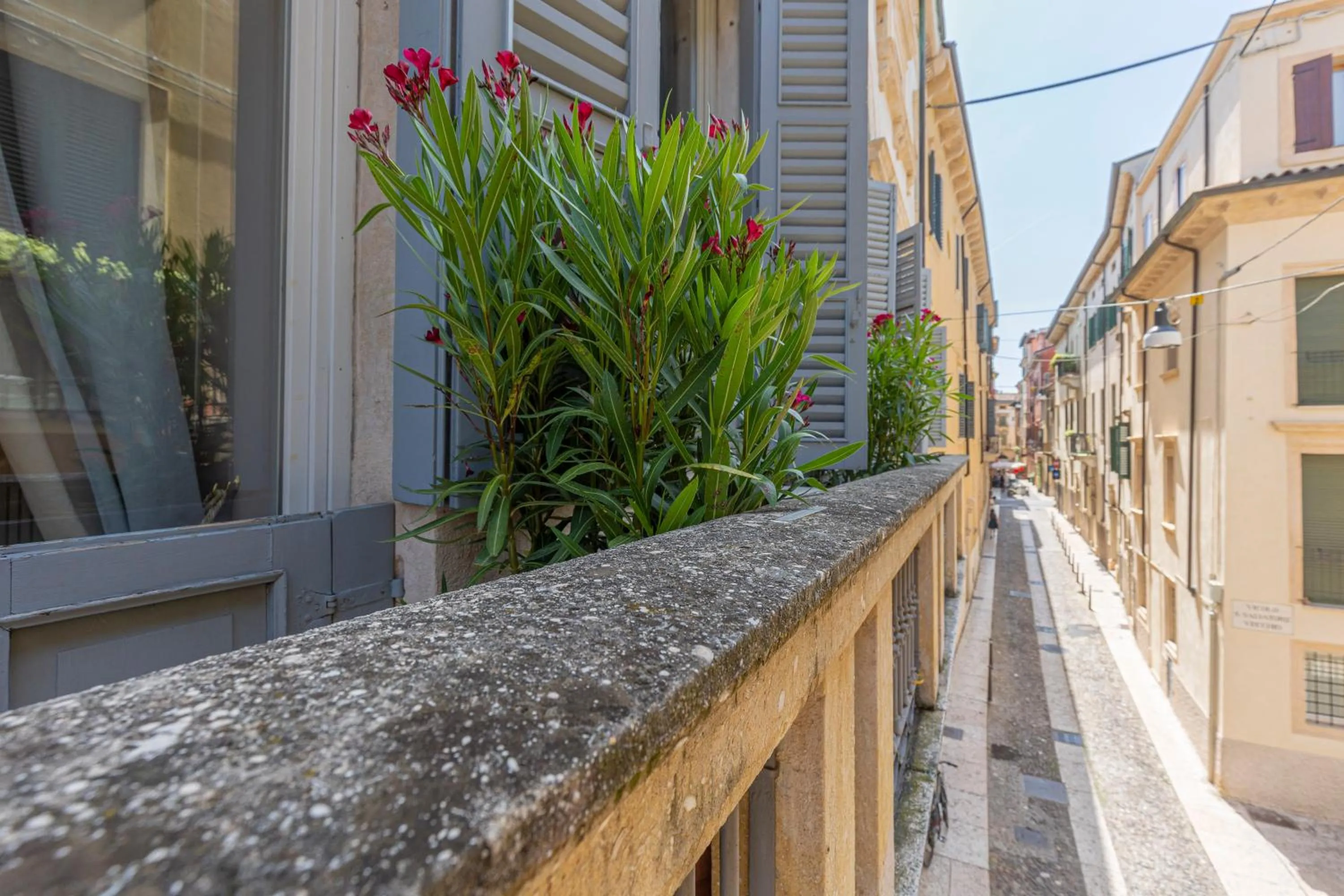 View (from property/room) in Corte Realdi - Palazzo Camozzini