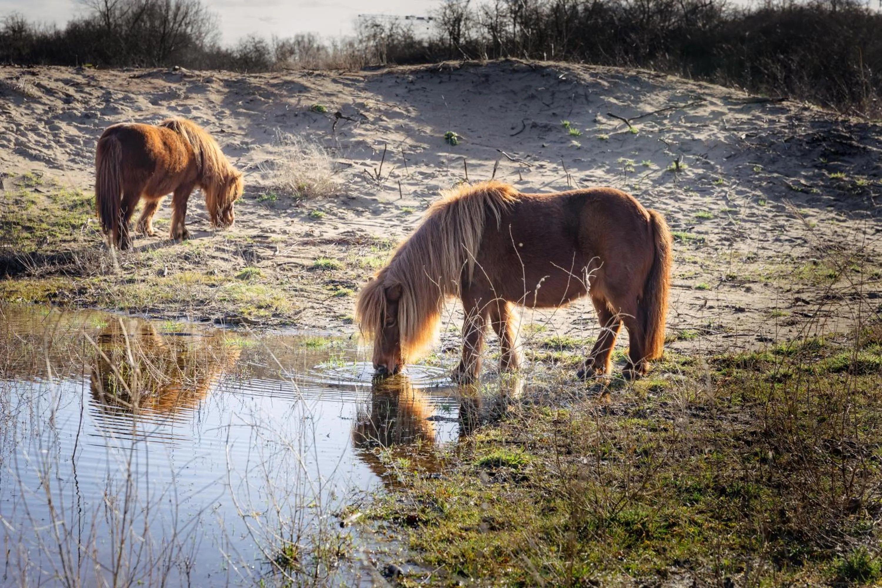 Off site in Dune Hotel Nieuwpoort