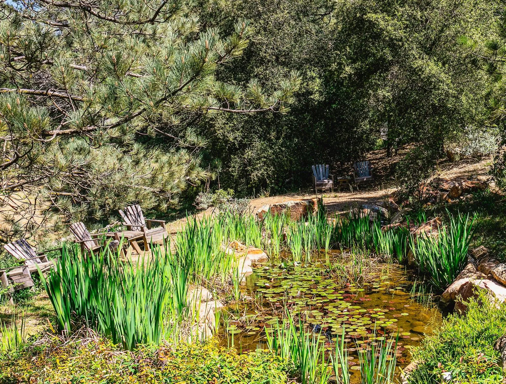 Natural landscape in Orchard Hill