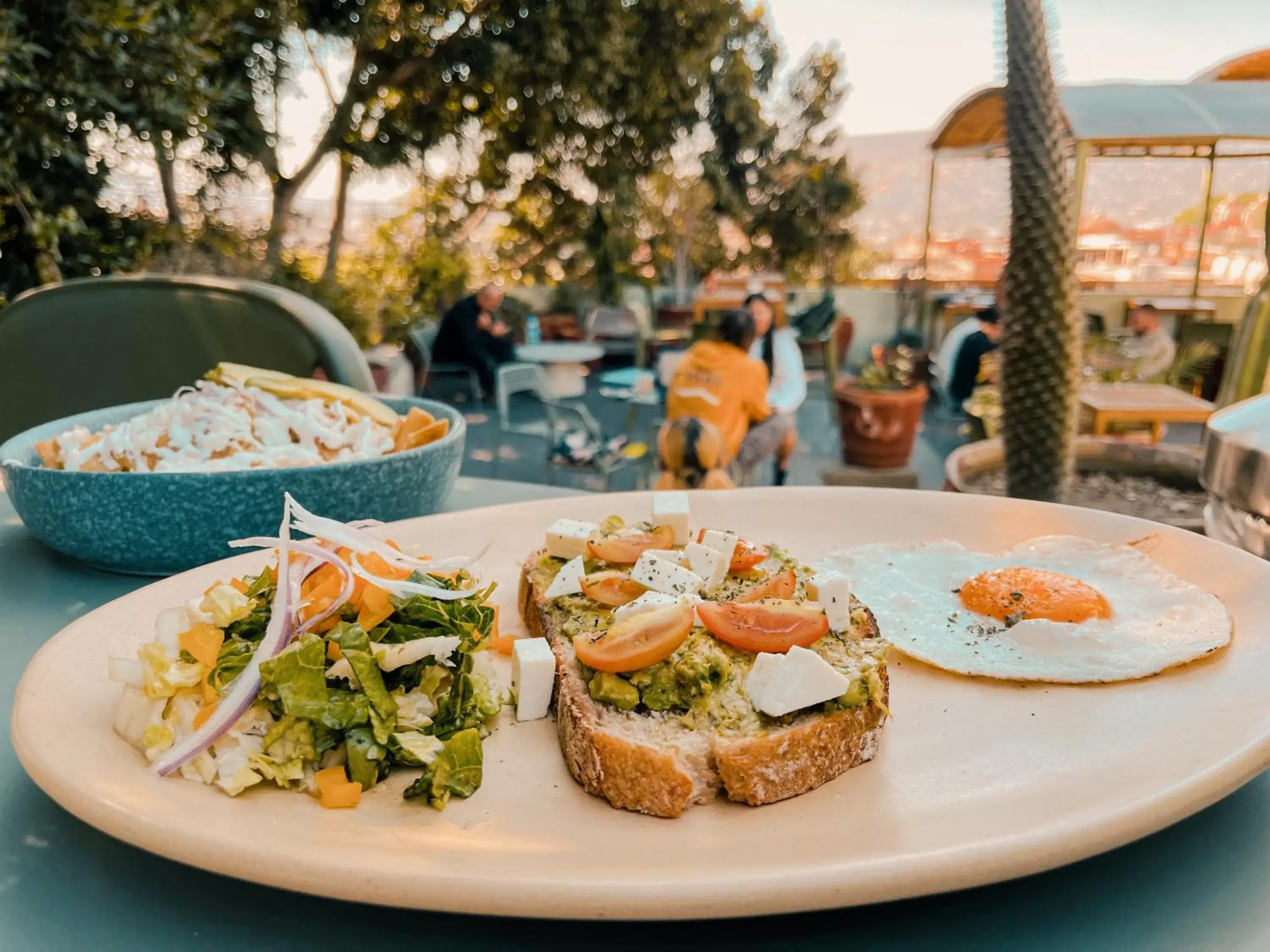 Restaurant/places to eat in Viajero Oaxaca Hostel Restaurant/places to eat in Viajero Oaxaca Hostel