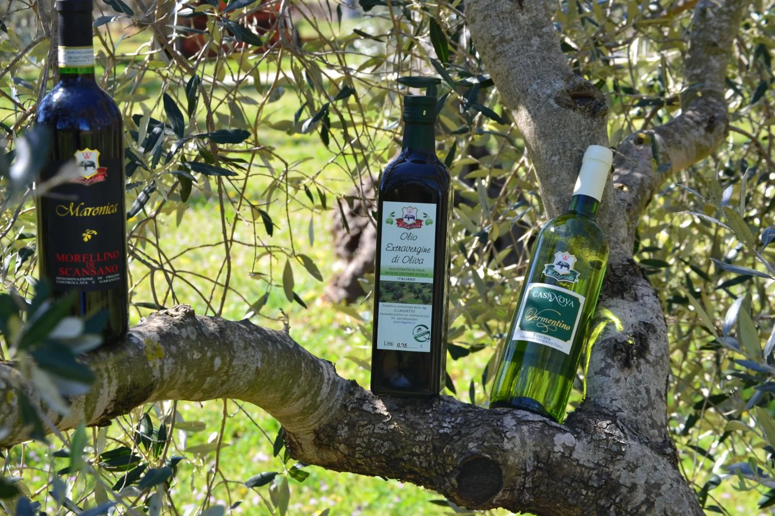 Food and drinks in Agriturismo il Laghetto