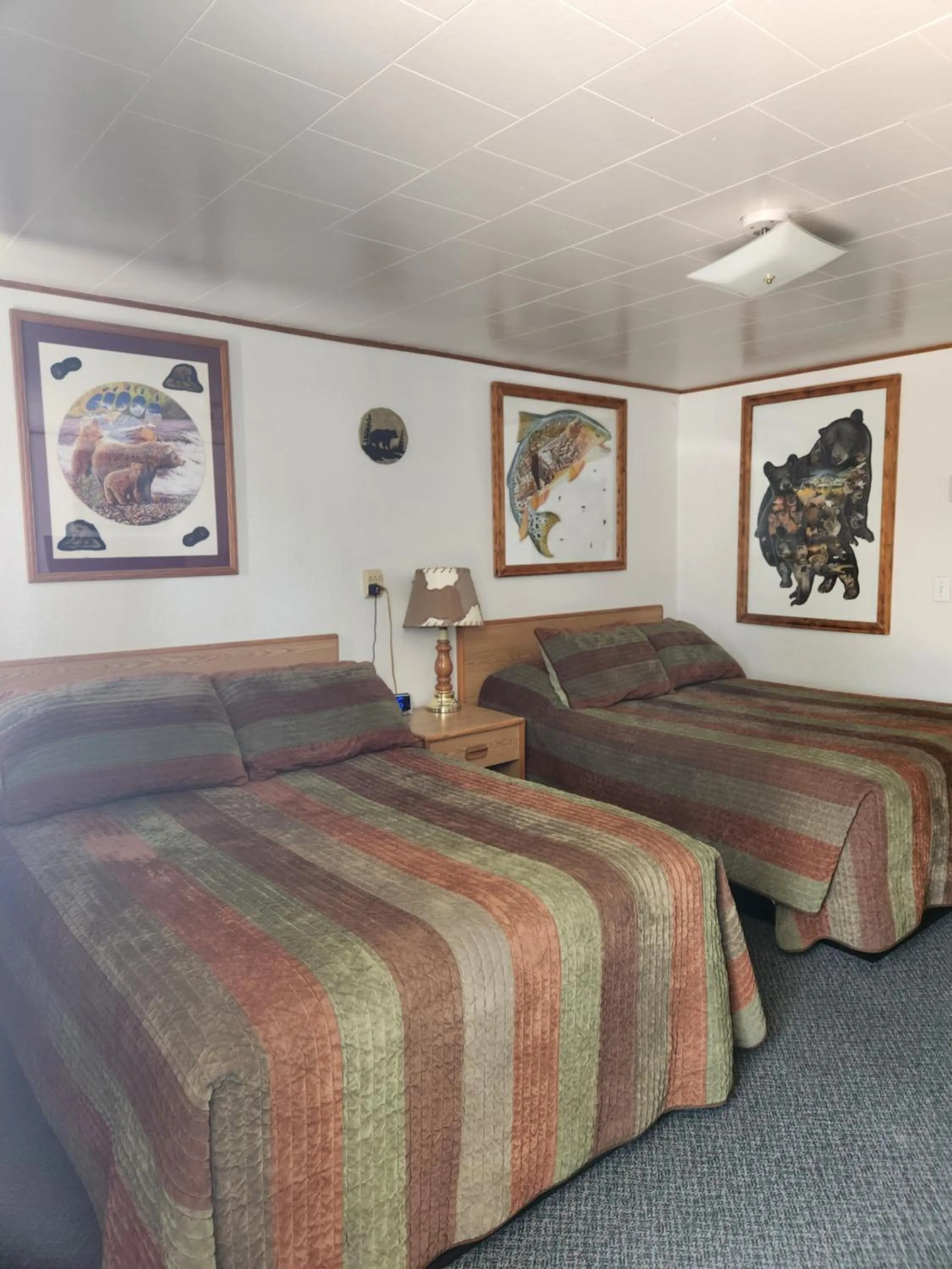 Bed in Antler Motel