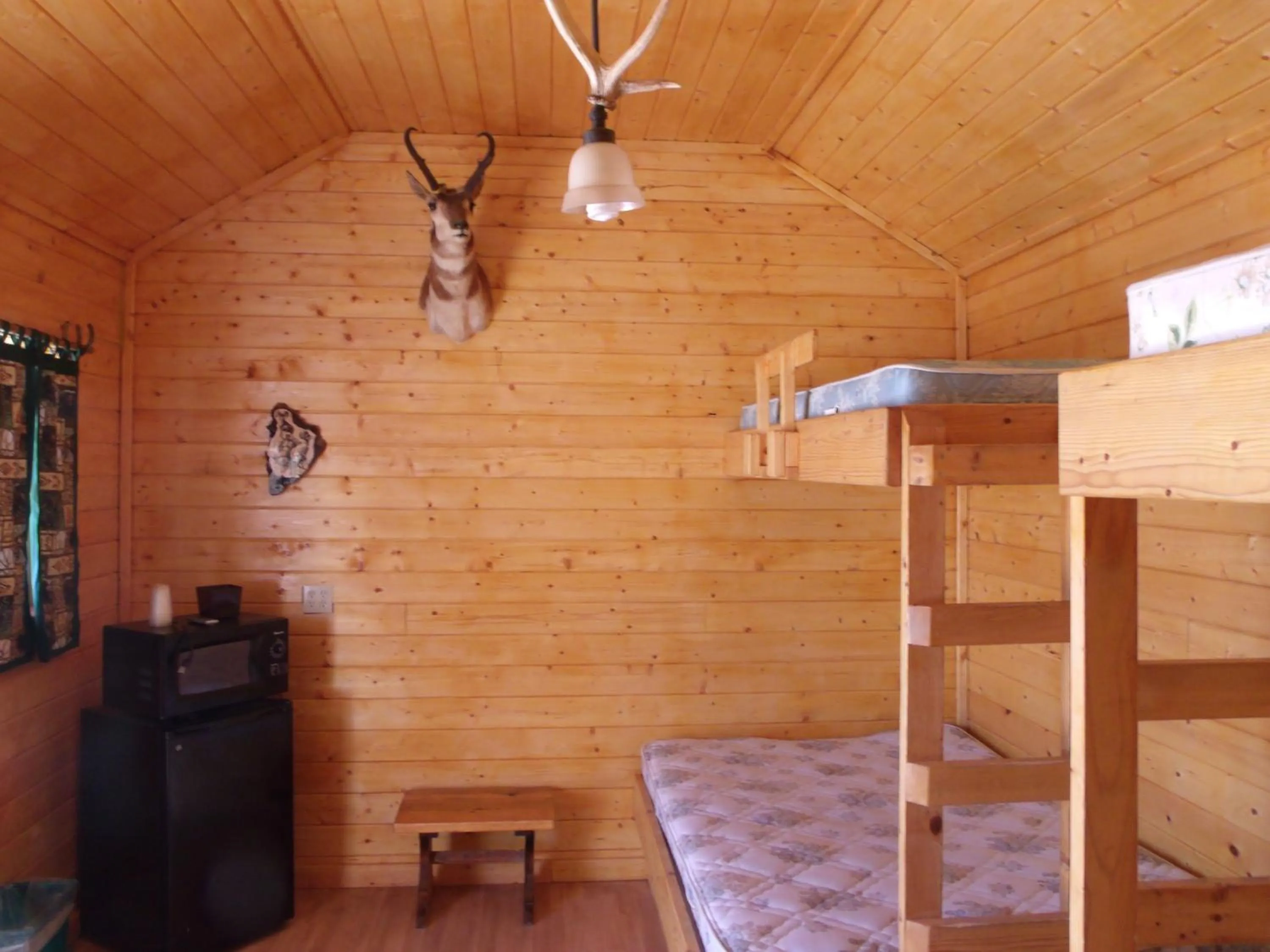 bunk bed, Bed in Antler Motel