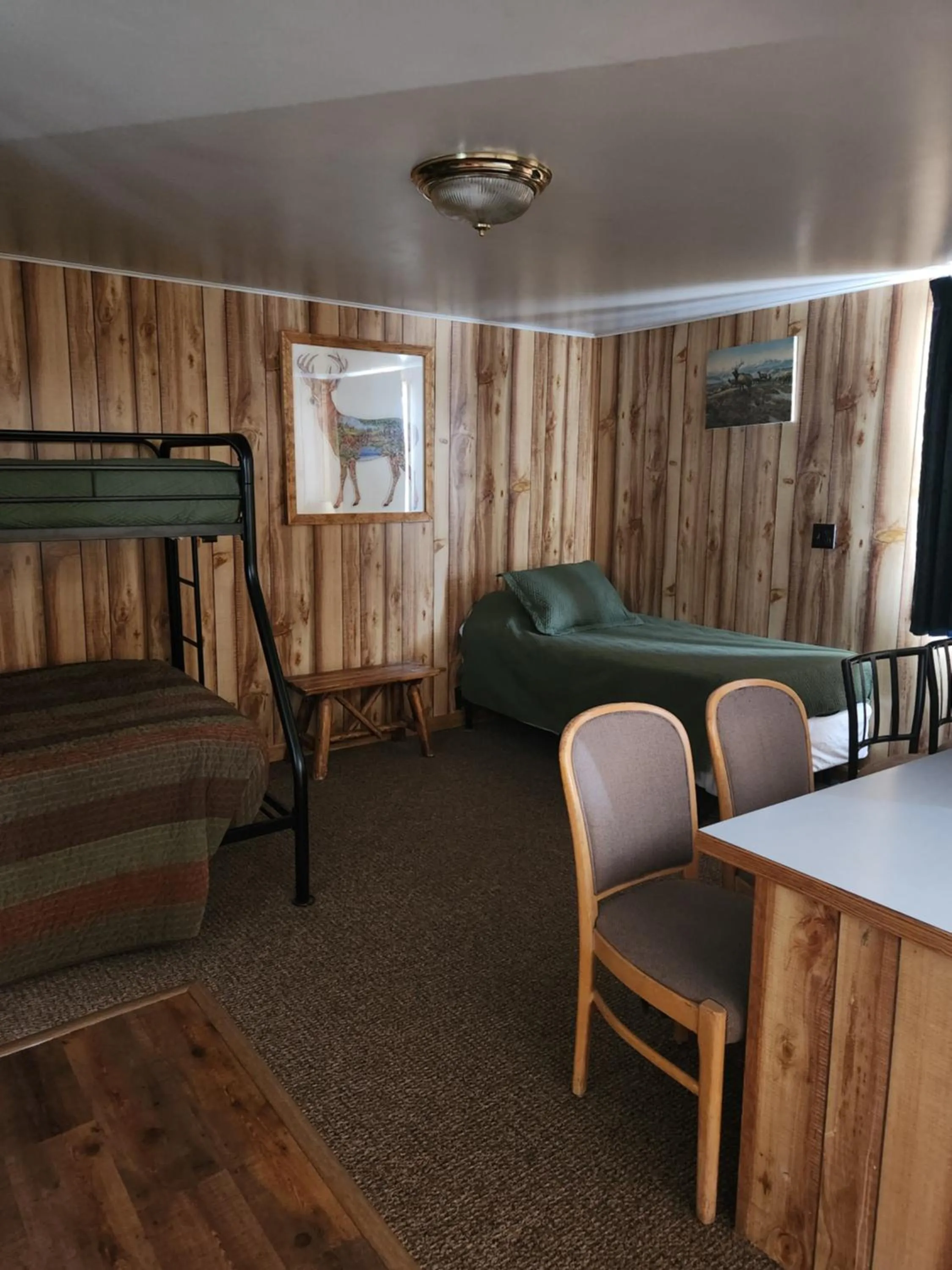 Bed in Antler Motel