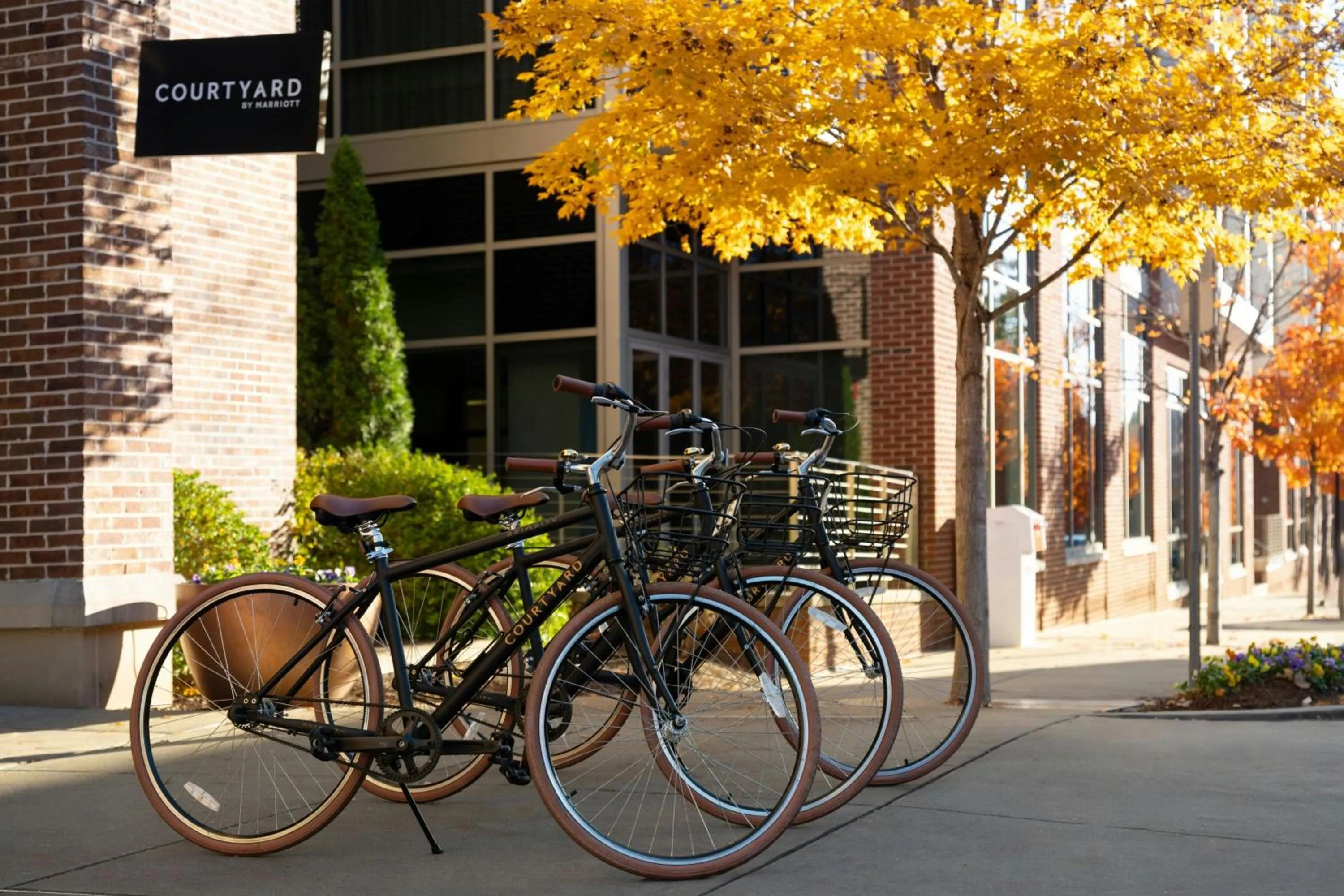 View (from property/room) in Courtyard by Marriott Nashville Green Hills