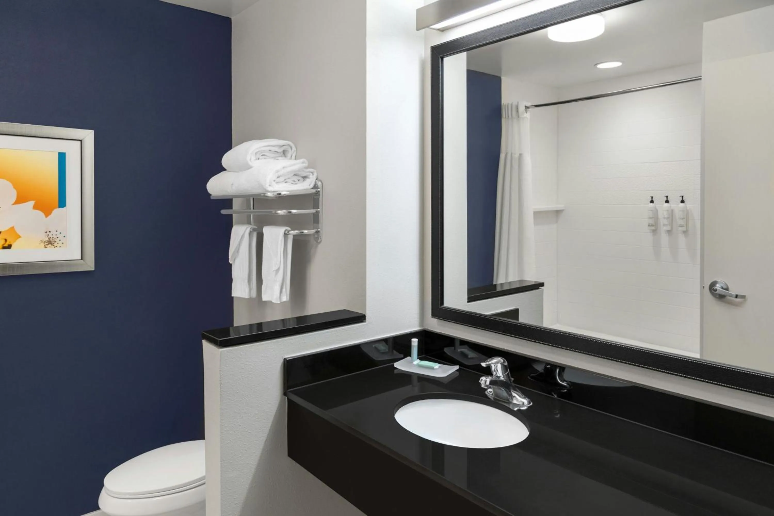 Bathroom in Fairfield Inn and Suites by Marriott Calhoun