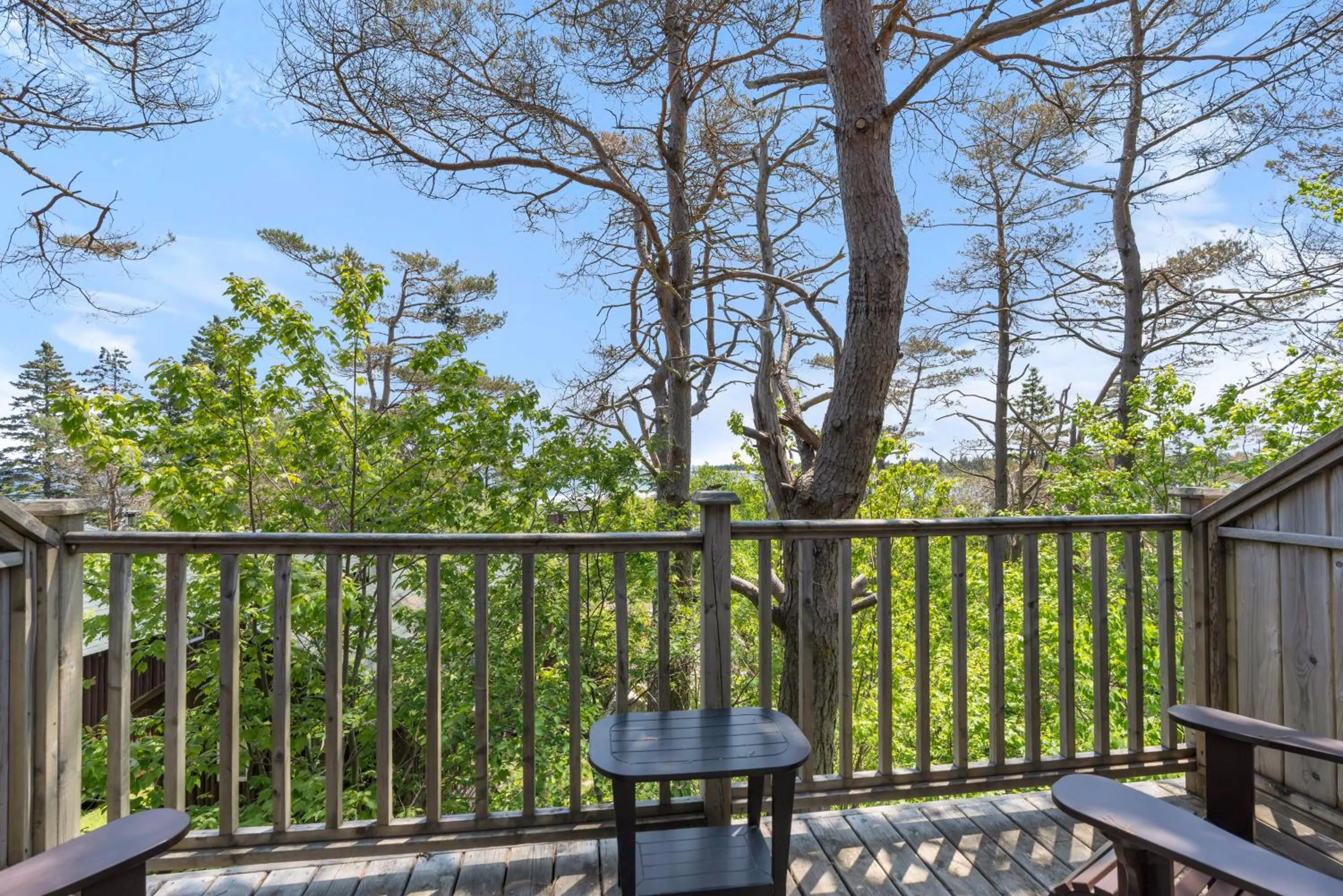 Natural landscape in White Point Beach Resort