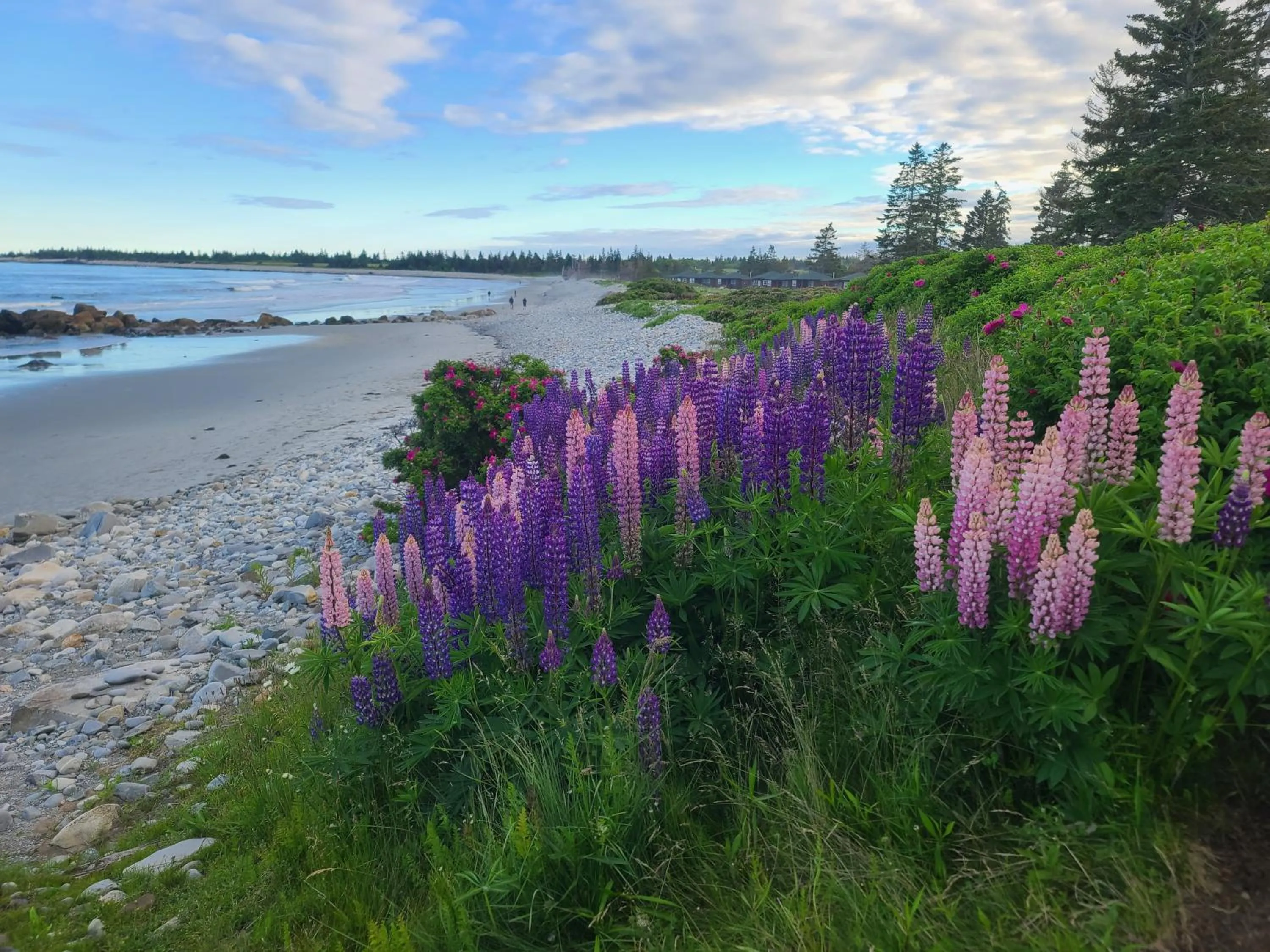 Natural landscape in White Point Beach Resort